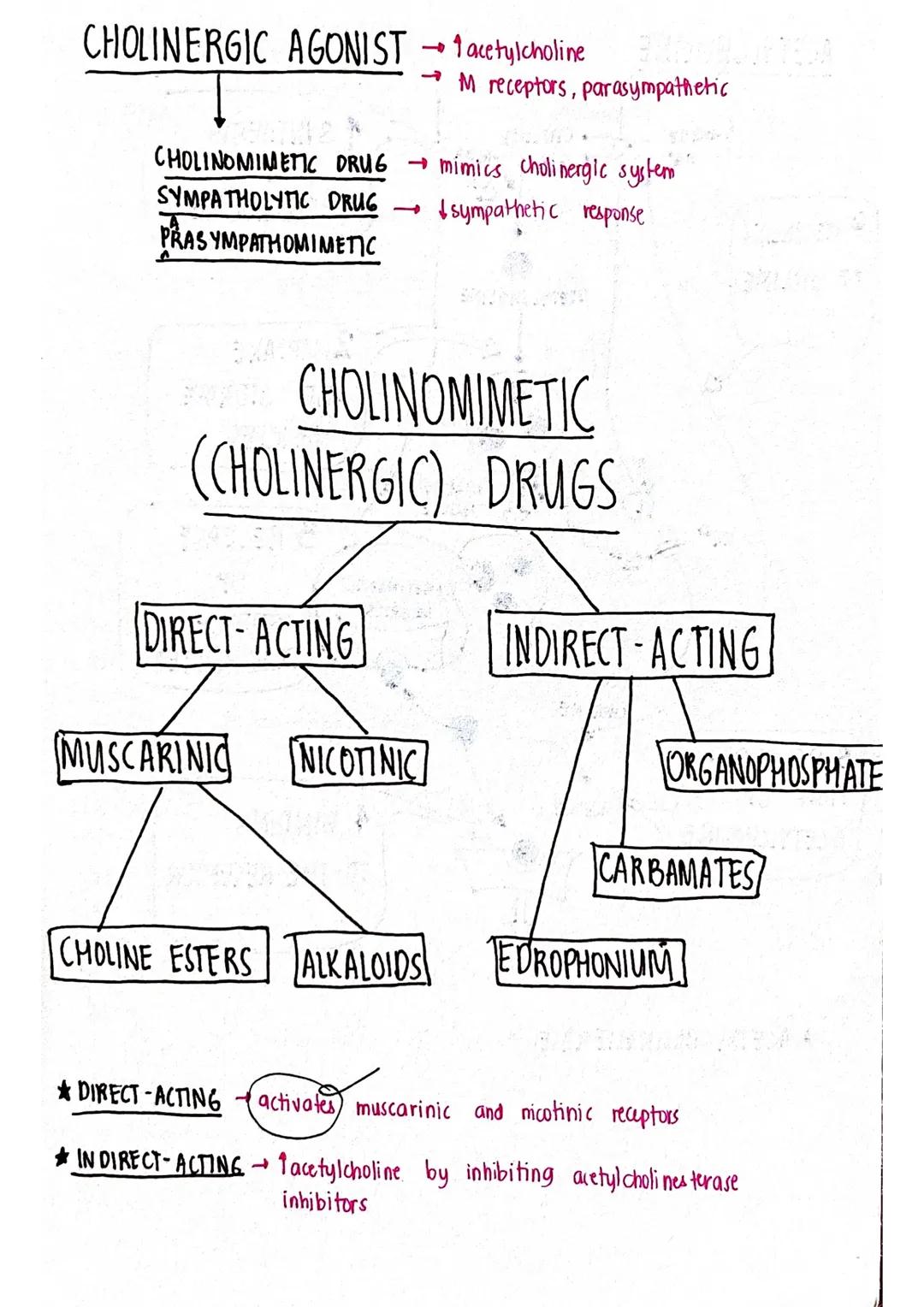 # ACETYLCHOLINE

CHOLINE
NA

CHOLINE
Na

ACCOB

1 SYNTHESIS
OF
ACETYLCHOLINE

RECYCLING
OF CHOLINE

Ca2t Bo Cazr

ACETYL CHOLINE

SYNAPTIC
V