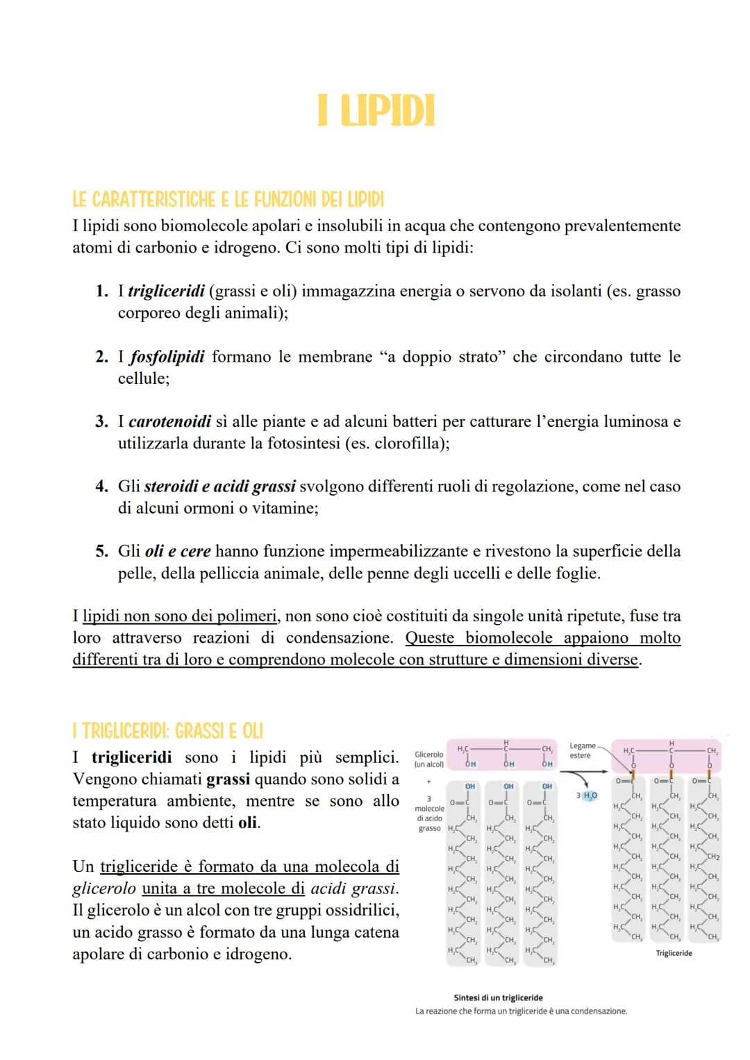 Una molecola come questa, con un'estremità idrofila e una lunga coda idrofobica, si
definisce anfipatica.

Quando il gruppo carbossilico di 