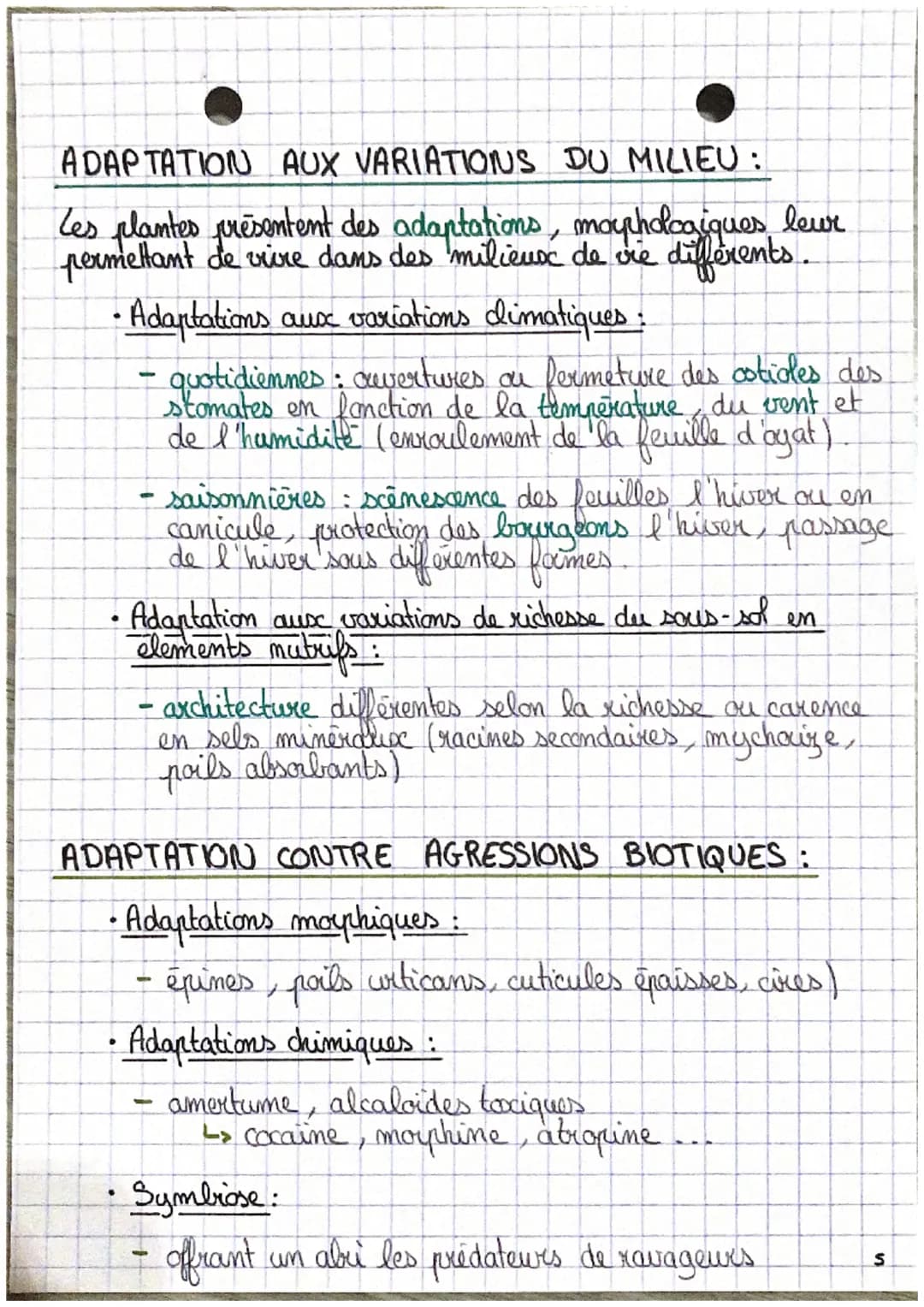 - SVT

L'organisation fonctionelle des plantes à fleur.

Emergie
lumineuse

CO₂

O₂
H₂O

Racines

Porbs absorbants

$6CO₂ + 6H₂O \rightarrow