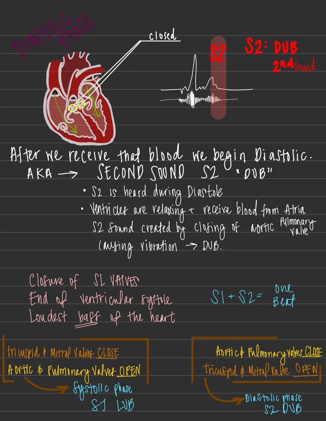 # HEART
Heart sounds = auscutations give "LUB DUB"
LUB dub :"lub" = (51
=
1st Sound

generated by Vibrations caused by the
Closing of the tr
