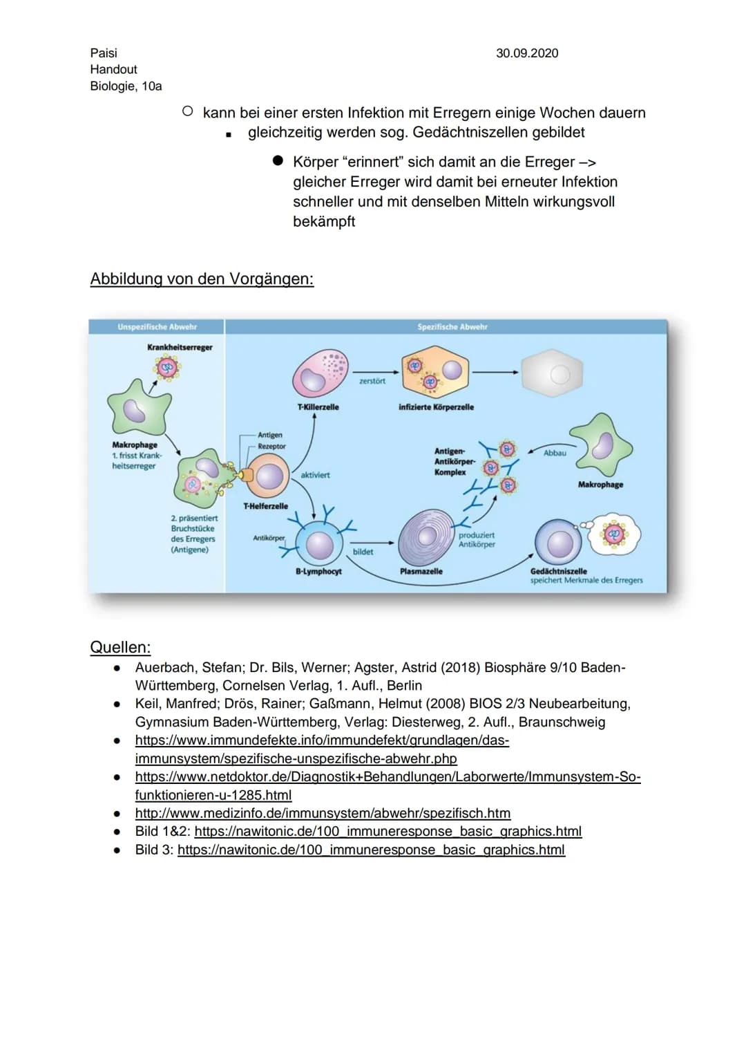 Paisi
Handout
Biologie, 10a
30.09.2020

# Unspezifische/spezifische Immunabwehr

## Unspezifische Immunabwehr:

- erstes Schutzschild des Kö