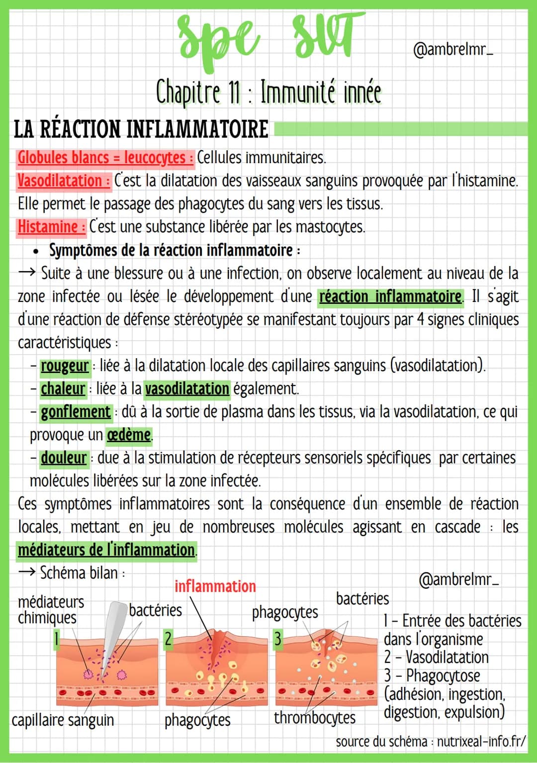 spe sut

Chapitre 11 : Immunité innée

LA RÉACTION INFLAMMATOIRE

Globules blancs = leucocytes : Cellules immunitaires.

Vasodilatation: C'e