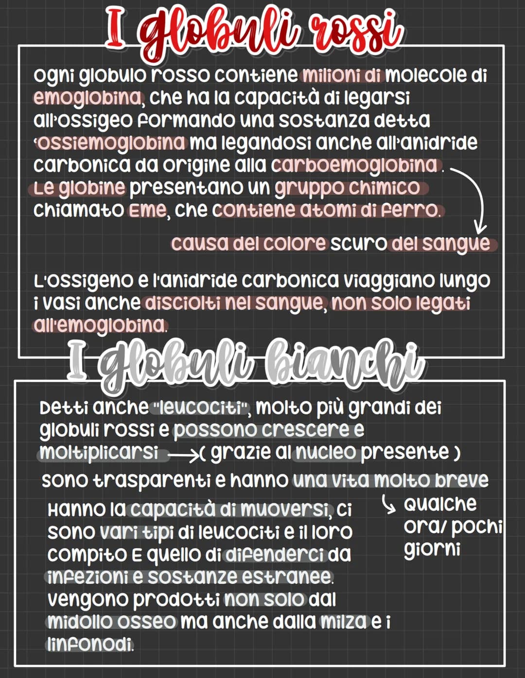 # L'apparato circolatorio

L' apparato circolatorio distribuisce nutrimenti
e ossigeno alle cellule.
Fornisce sia i vasi sanguigni sia le ce