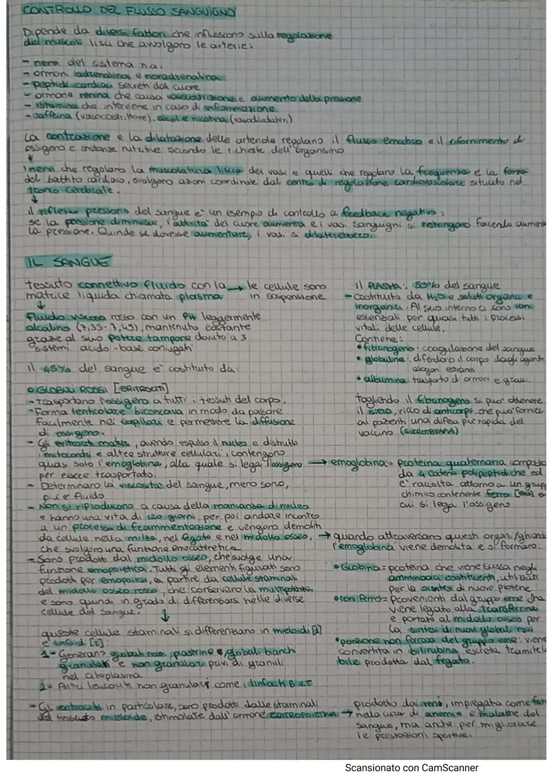 # APPARATO CIRCOLATORIO

Hail compito di portare il sangue a tutti gli orgam e tesuti

e formato da.

*   AQUONS (TEUTO Микола).
*   A rete 