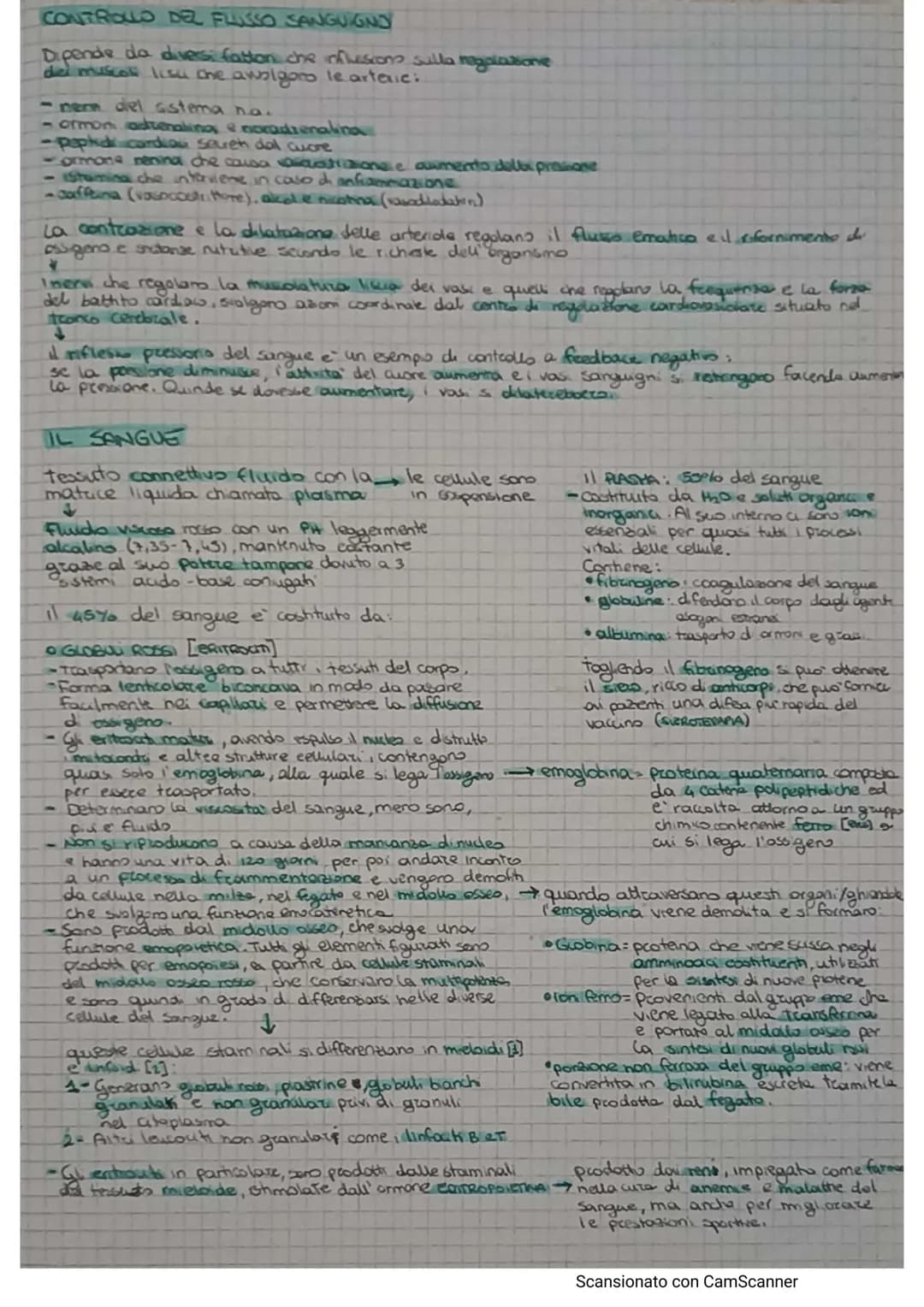 # APPARATO CIRCOLATORIO

Hail compito di portare il sangue a tutti gli orgam e tesuti

e formato da.

*   AQUONS (TEUTO Микола).
*   A rete 