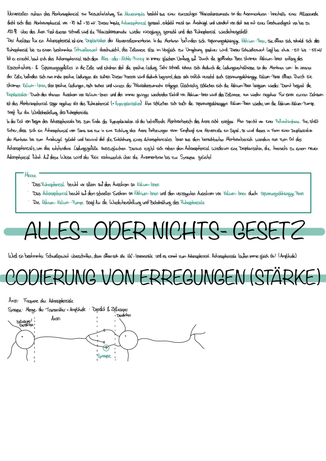 # NEUROBIOLOGIE

Die Fähigkeit, einen bestimmten Reiz zu eccennen, nenol man Sinn

Edasst werden Reize durch Rezeplocen bestehen aus Spezial