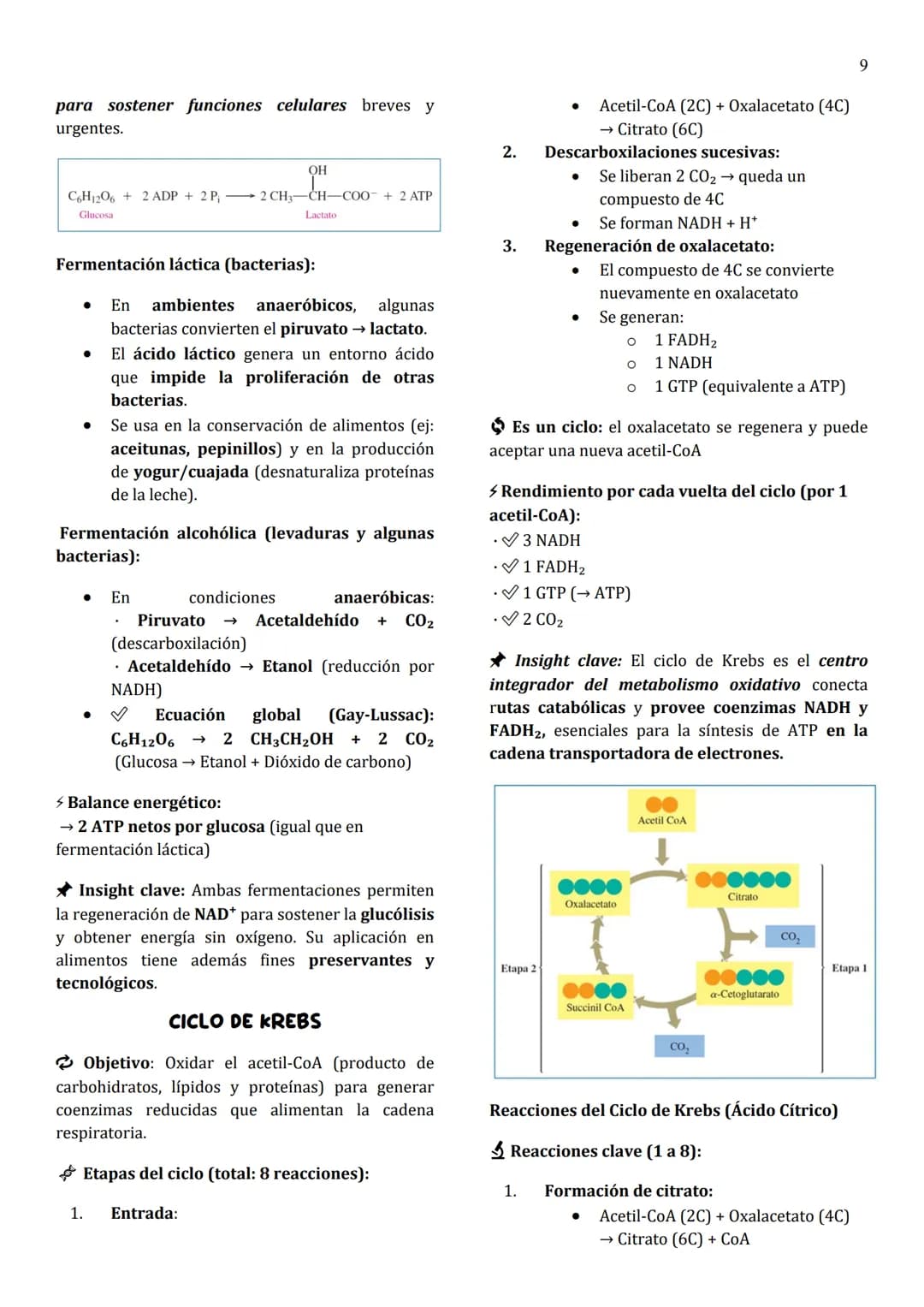 1
Unidad 8
METABOLISMO
¿Qué es el metabolismo?
→ Conjunto de reacciones químicas que suceden
en las células vivas para formar (anabolismo) o