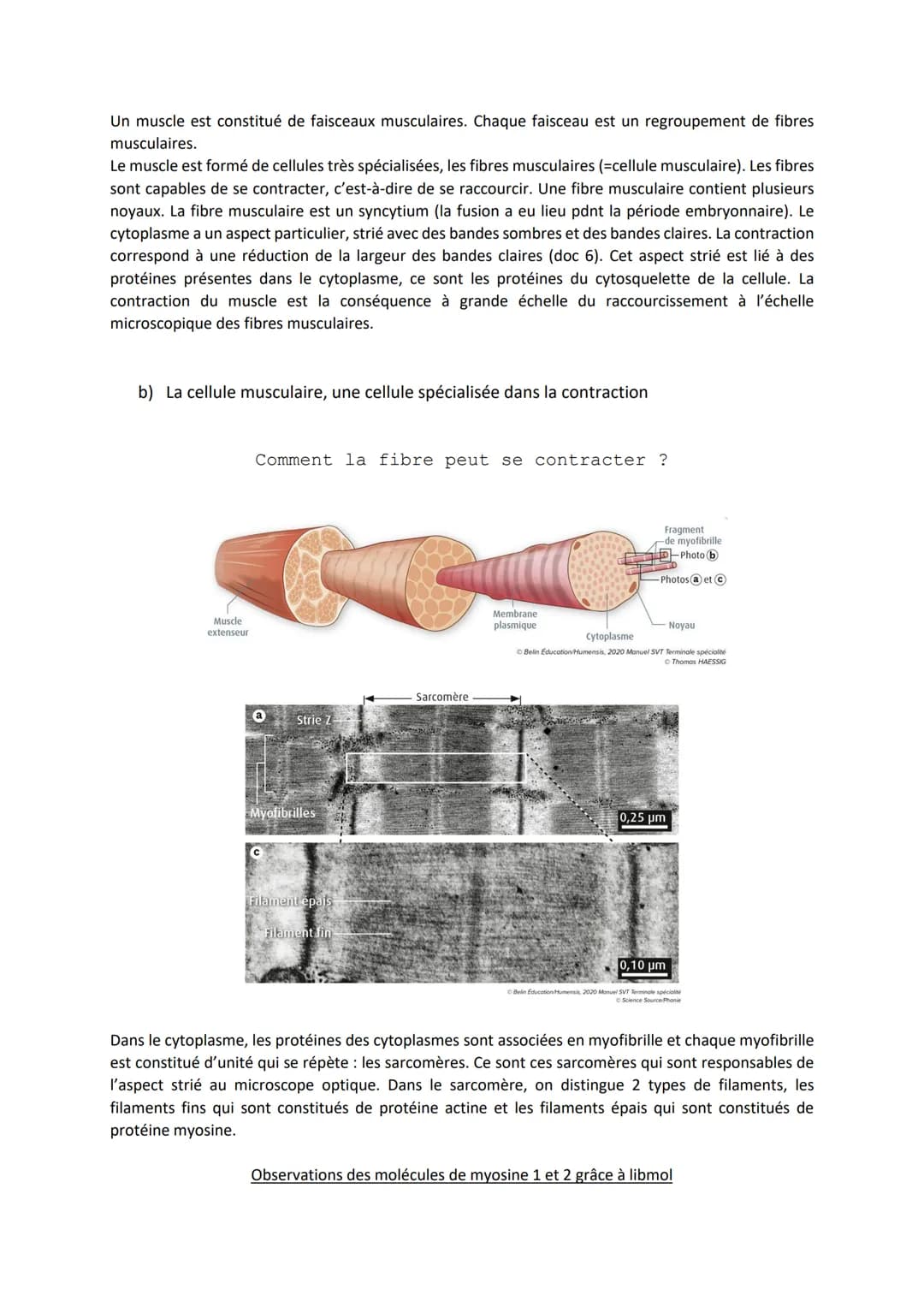 Chapitre 13

PRODUIRE LE MOUVEMENT:
CONTRACTION MUSCULAIRE
ET APPORT D'ÉNERGIE

1

Source: google image

1. La contraction musculaire

ATP
S