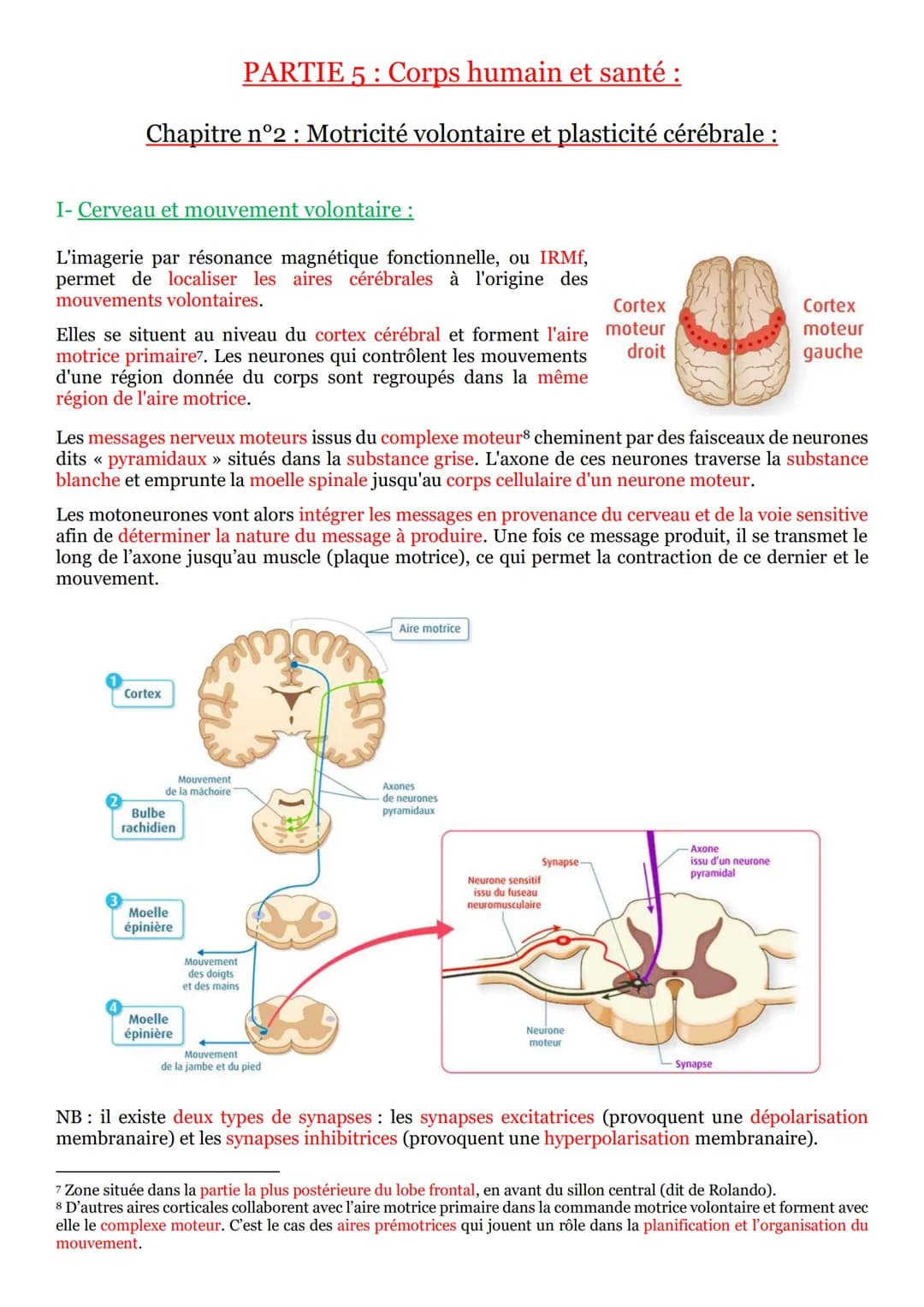 # PARTIE 5: Corps humain et santé :

## Chapitre n°1: Les réflexes :

I- Un arc reflexe, le circuit nerveux d'un réflexe myotatique :

Un ré