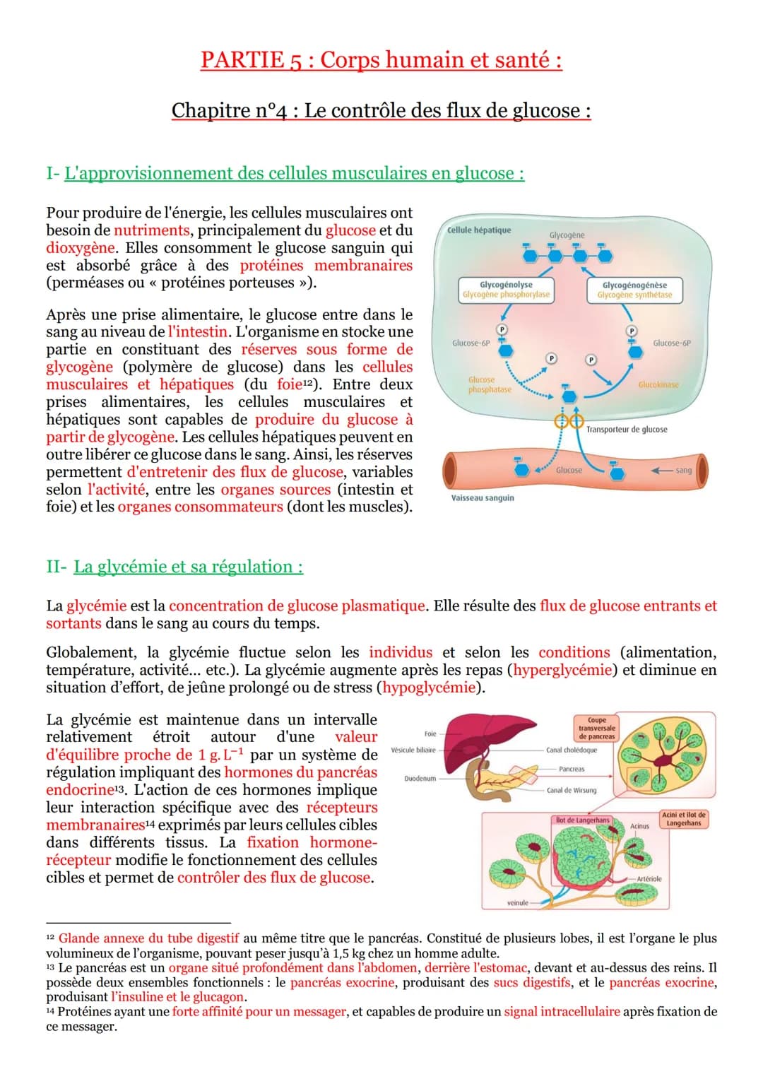# PARTIE 5: Corps humain et santé :

## Chapitre n°1: Les réflexes :

I- Un arc reflexe, le circuit nerveux d'un réflexe myotatique :

Un ré