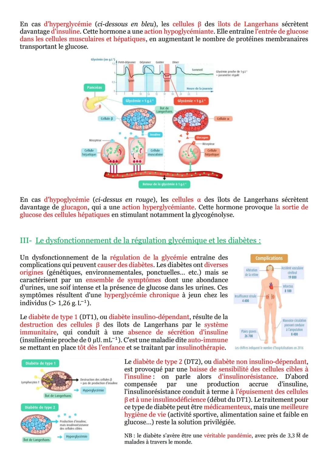 # PARTIE 5: Corps humain et santé :

## Chapitre n°1: Les réflexes :

I- Un arc reflexe, le circuit nerveux d'un réflexe myotatique :

Un ré