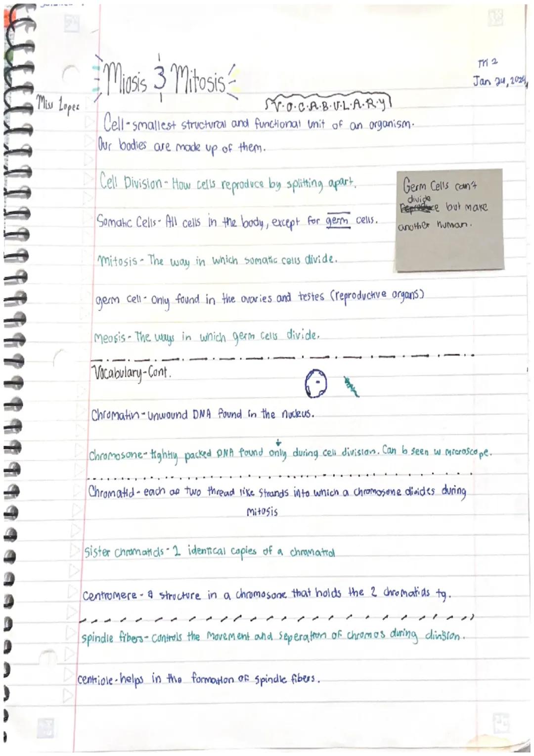 Miasis 3 Mitosis

Miss Lopez

SVOCABULARY

Cell-smallest structural and functional unit of an organism.
Our bodies are made up of them.

Cel