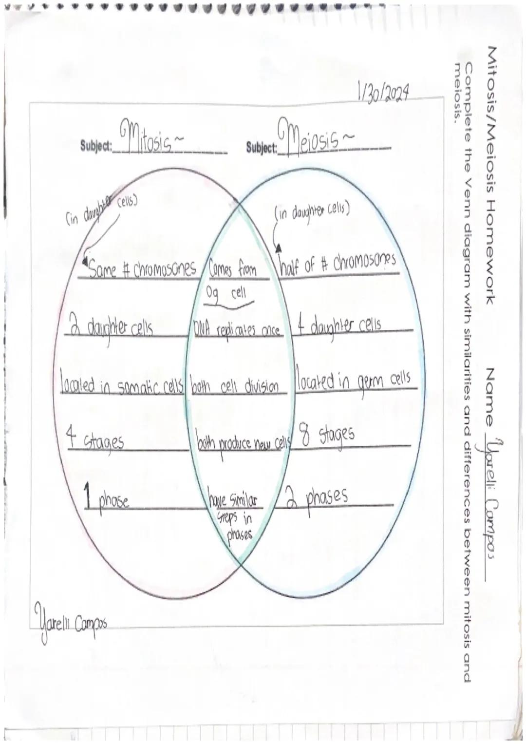Miasis 3 Mitosis

Miss Lopez

SVOCABULARY

Cell-smallest structural and functional unit of an organism.
Our bodies are made up of them.

Cel
