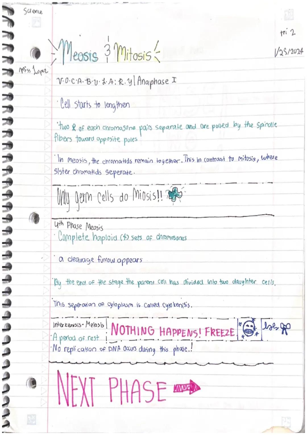 Miasis 3 Mitosis

Miss Lopez

SVOCABULARY

Cell-smallest structural and functional unit of an organism.
Our bodies are made up of them.

Cel