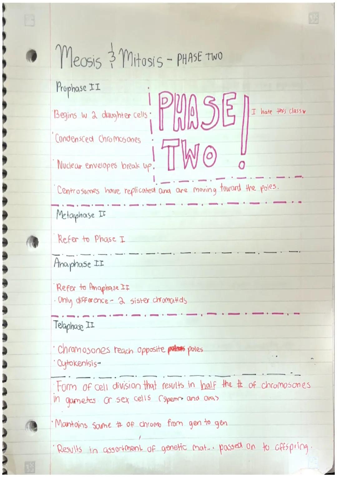 Miasis 3 Mitosis

Miss Lopez

SVOCABULARY

Cell-smallest structural and functional unit of an organism.
Our bodies are made up of them.

Cel