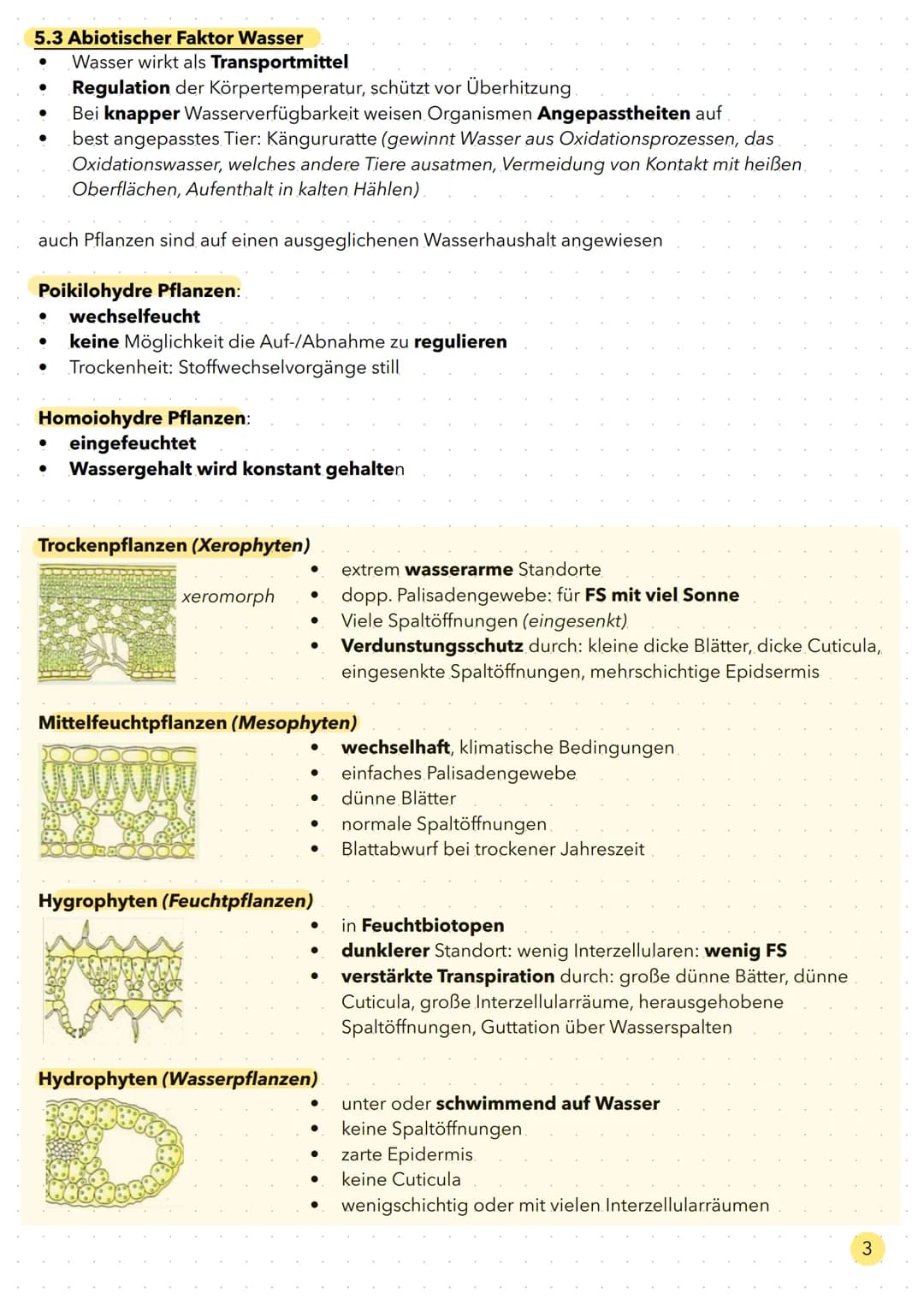 Ökologie Aufbau eines Ökosystems

Ökosystem

Biozönose
Gemeinschaft von Lebewesen

Biotop

Gesamtheit aller biotischen Faktoren

Gesamtheit 