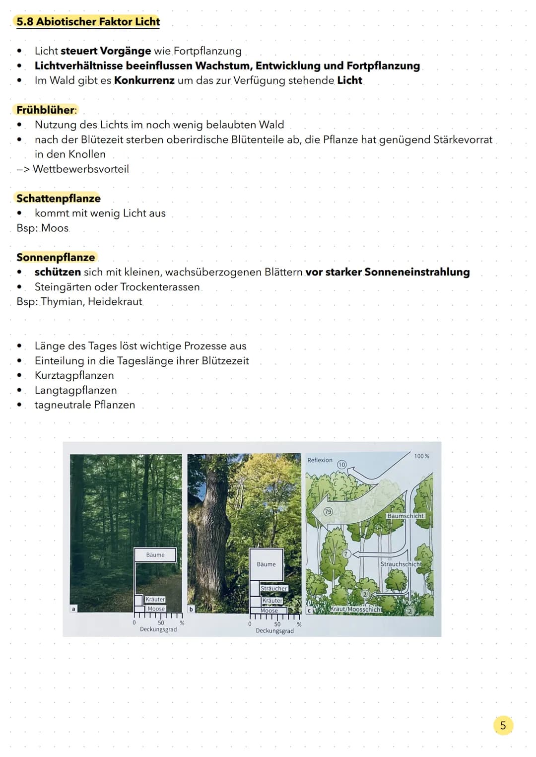 Ökologie Aufbau eines Ökosystems

Ökosystem

Biozönose
Gemeinschaft von Lebewesen

Biotop

Gesamtheit aller biotischen Faktoren

Gesamtheit 