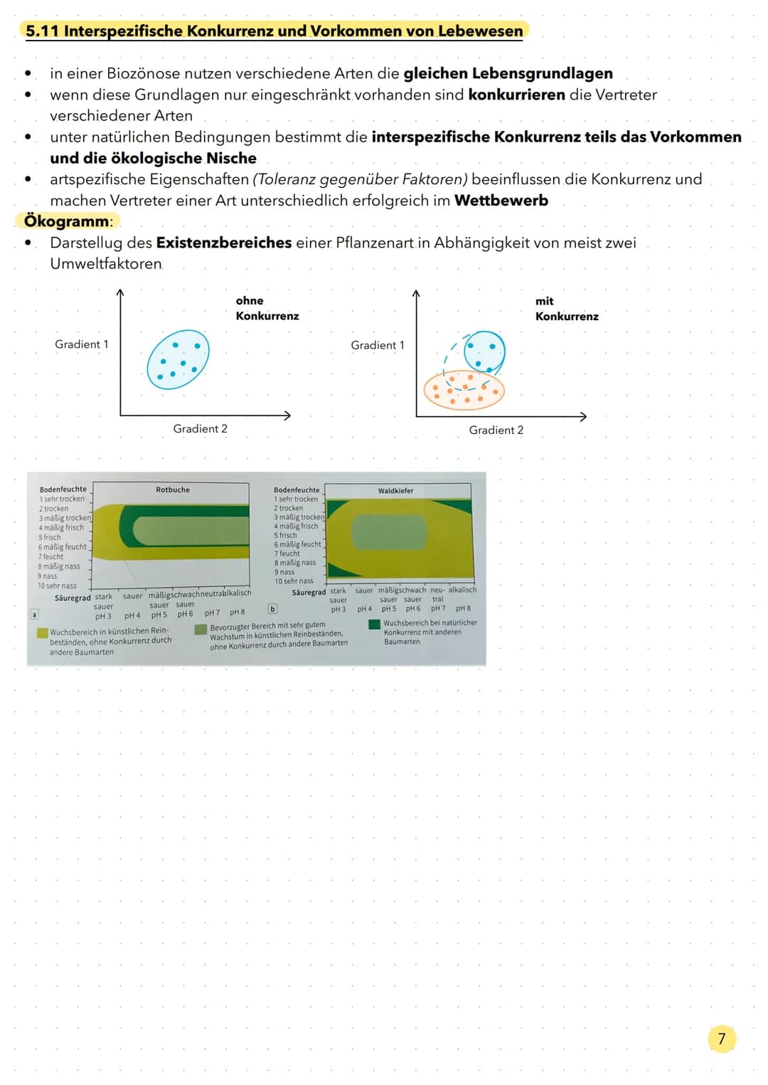 Ökologie Aufbau eines Ökosystems

Ökosystem

Biozönose
Gemeinschaft von Lebewesen

Biotop

Gesamtheit aller biotischen Faktoren

Gesamtheit 