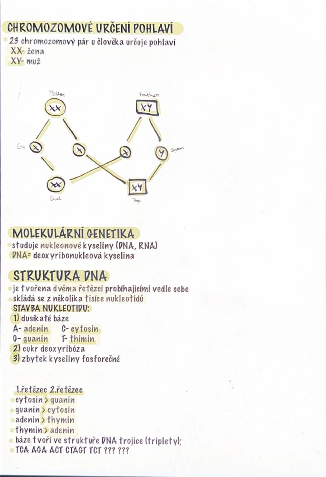 # GENETIKA

⚫věda zabývající se dědičností
**DĚDIČNOST**
⚫schopnost předávat geny z rodičů na potomky
zakladatel genetiky:
Johan Gregor Mend