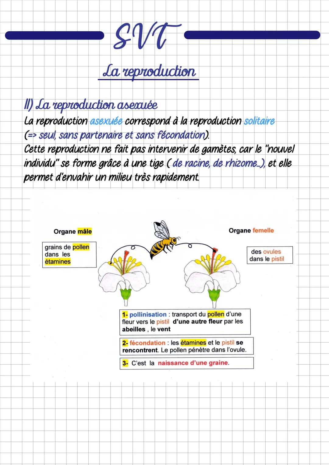 # SVT

La reproduction

1) La reproduction séxuée

- La reproduction sexuée est lorsque 2 êtres vivants se "rencontrent"
pour se reproduire.