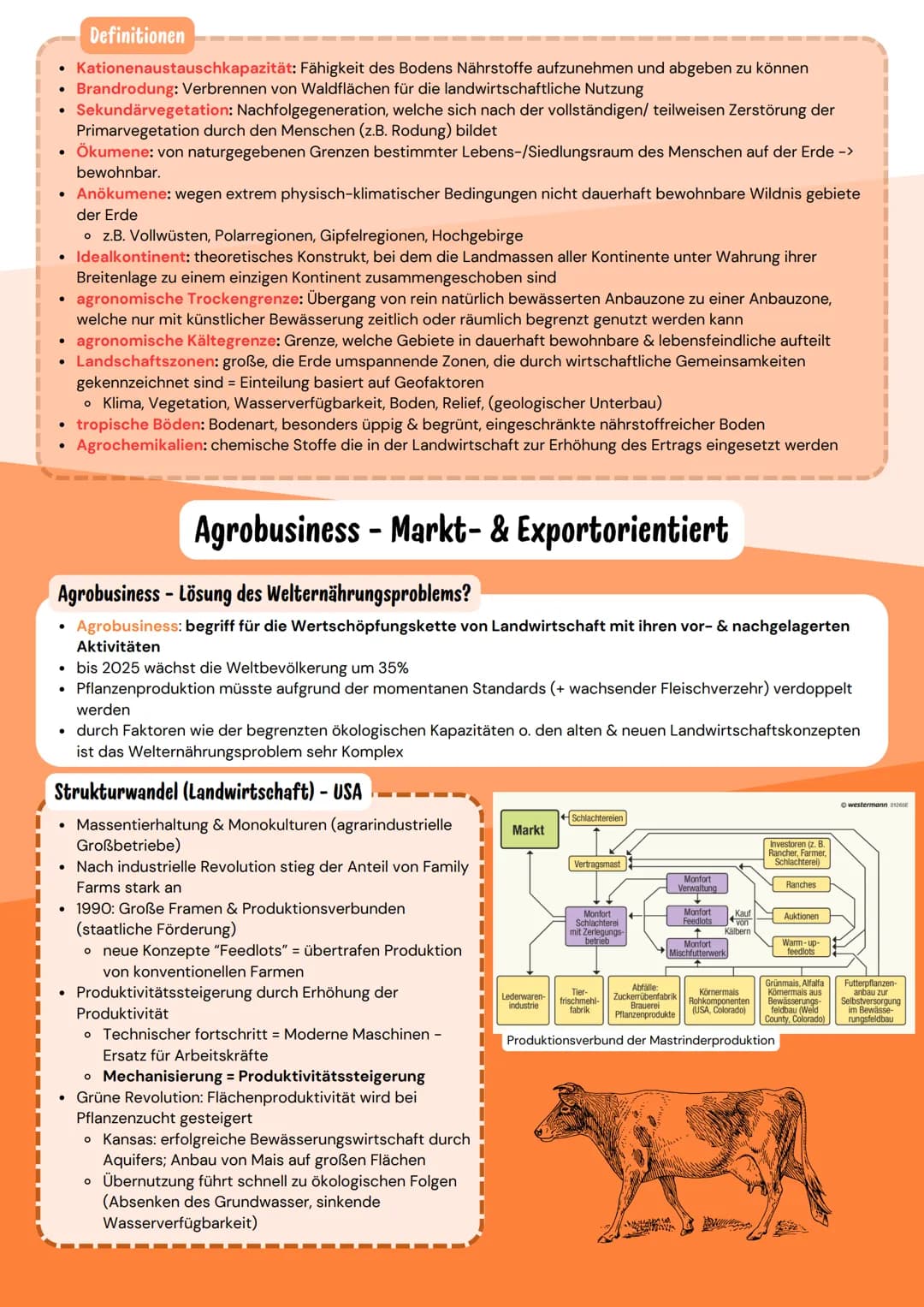 Lokalisierung
Generelles
Von Groß nach Klein / je nach Aufgabe einbringen
• Halbkugel
• Lage (Kontinent - Land); evtl. Hauptstadt & Fläche
•