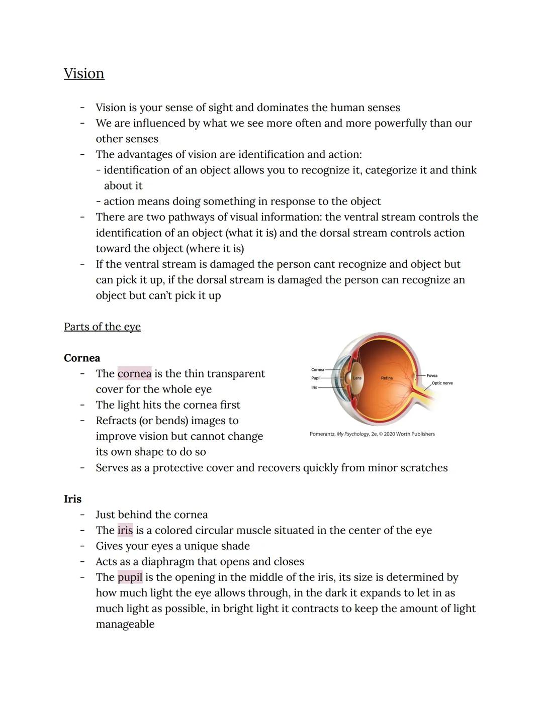 # Vision

- Vision is your sense of sight and dominates the human senses
- We are influenced by what we see more often and more powerfully t