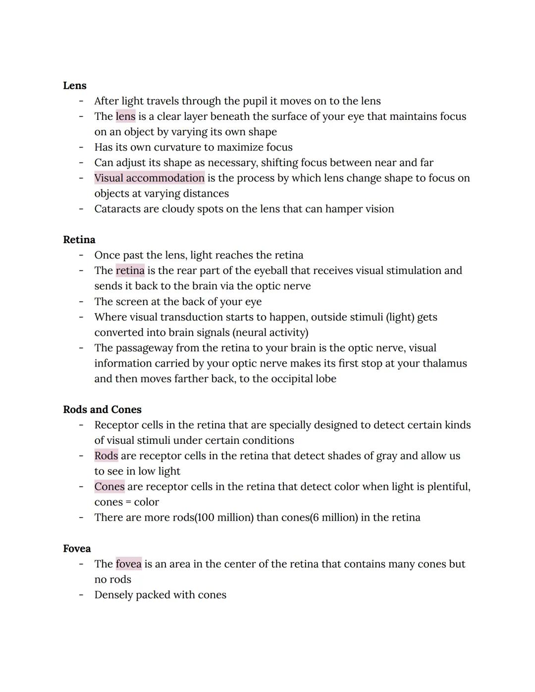 # Vision

- Vision is your sense of sight and dominates the human senses
- We are influenced by what we see more often and more powerfully t