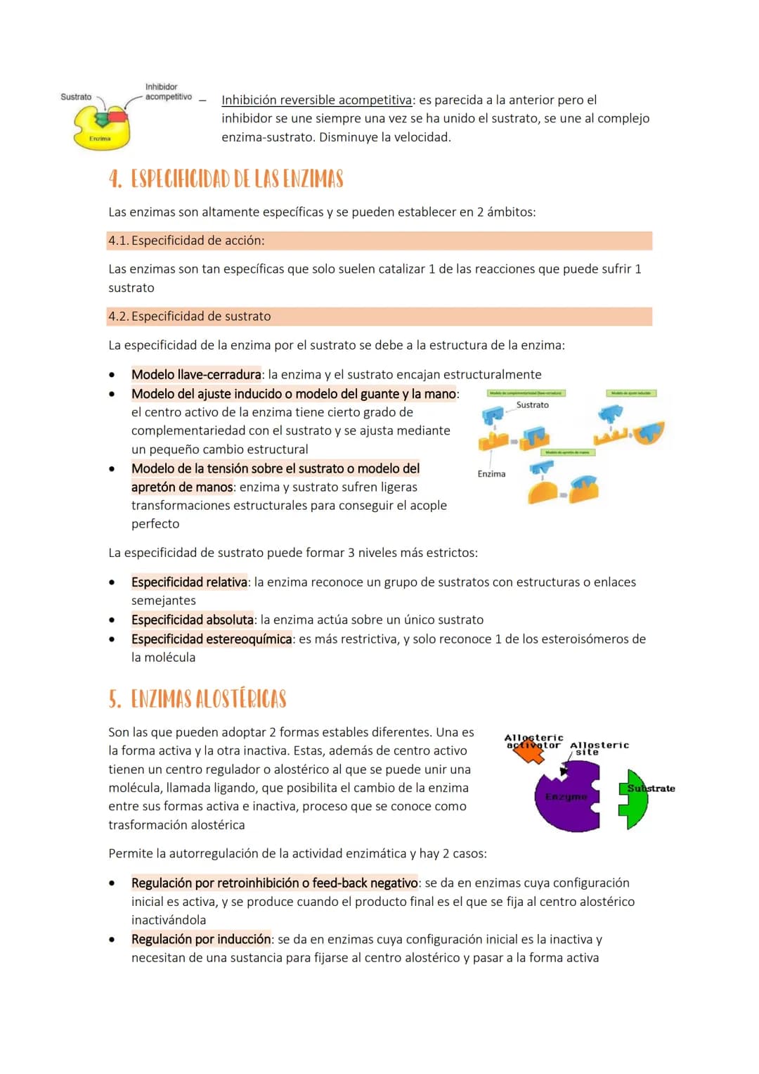 # Tema 4 b: LA ACTIVIDAD ENZIMÁTICA Y LA FUNCIÓN HORMONAL

Se llama metabolismo celular al conjunto de reacciones químicas que se producen e