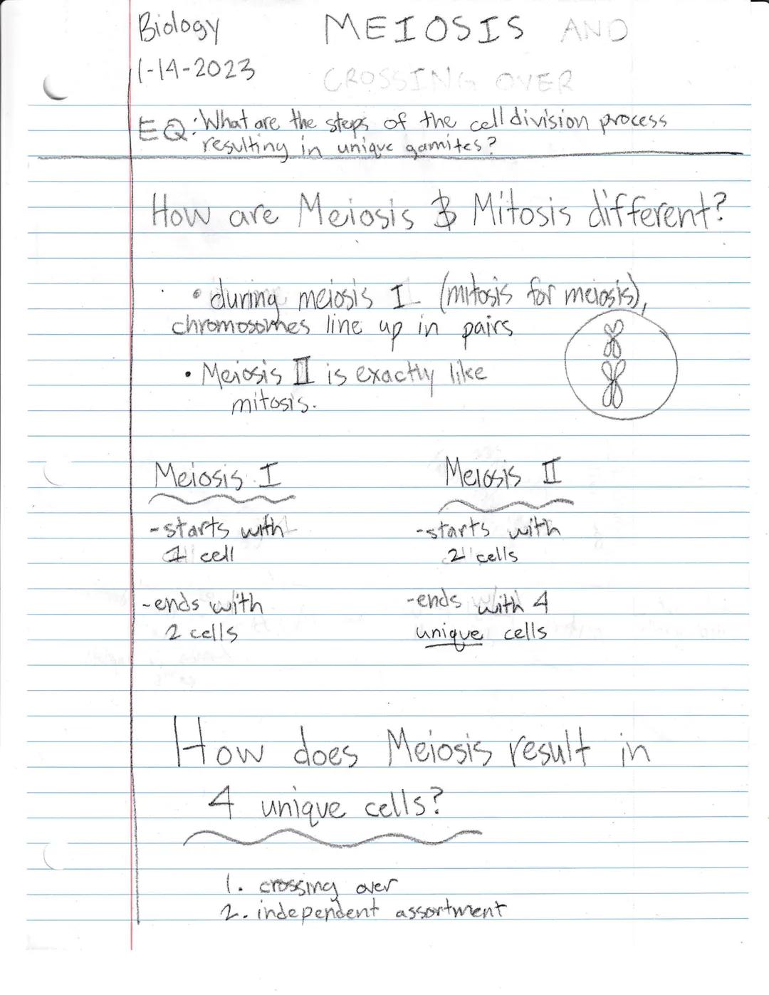 Biology
1-14-2023
MEIOSIS AND
CROSSING OVER
EQ: What are the steps of the cell division process
resulting in unique gamites?
How are Meiosis