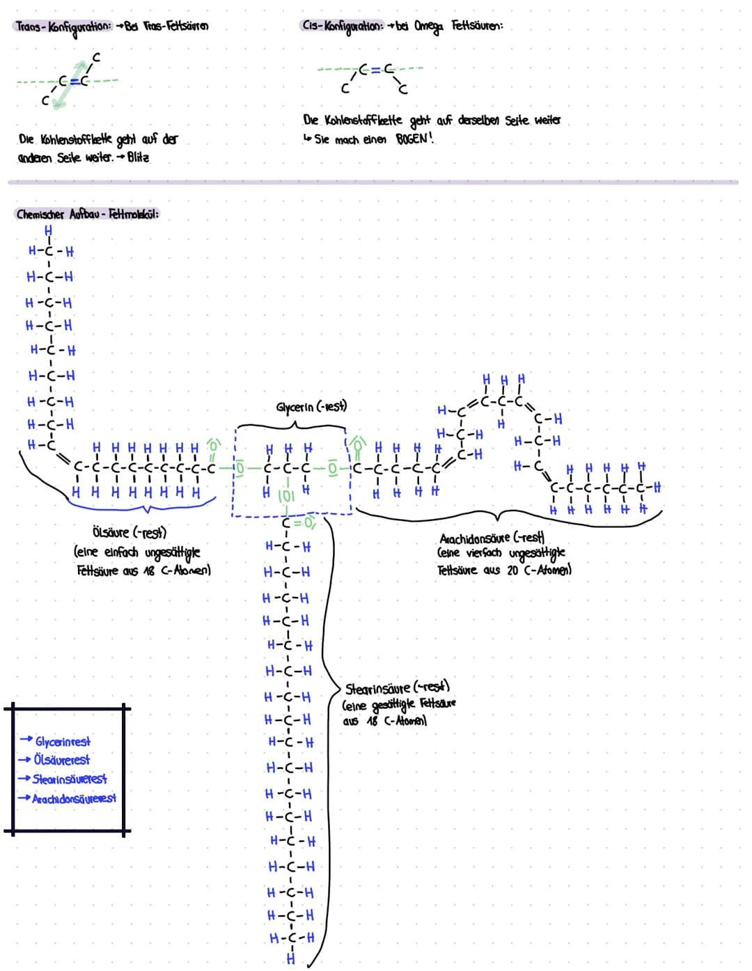 # BioChemie-Lernzettel

- Ich kann erklären oder skizzieren, was eine organische Säure bzw. eine Fettsäure ist und wie die verschiedenen Fet