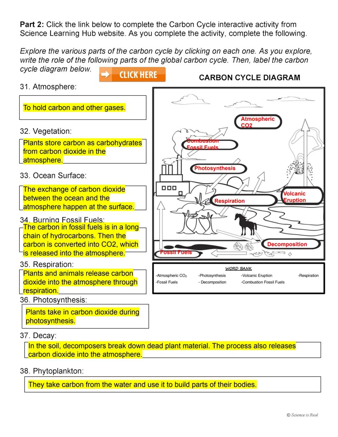 Biogeochemical Cycles Webquest
Name:
Task 1: Introduction to the Biogeochemical Cycles
Click the link below to watch the Biogeochemical Cycl