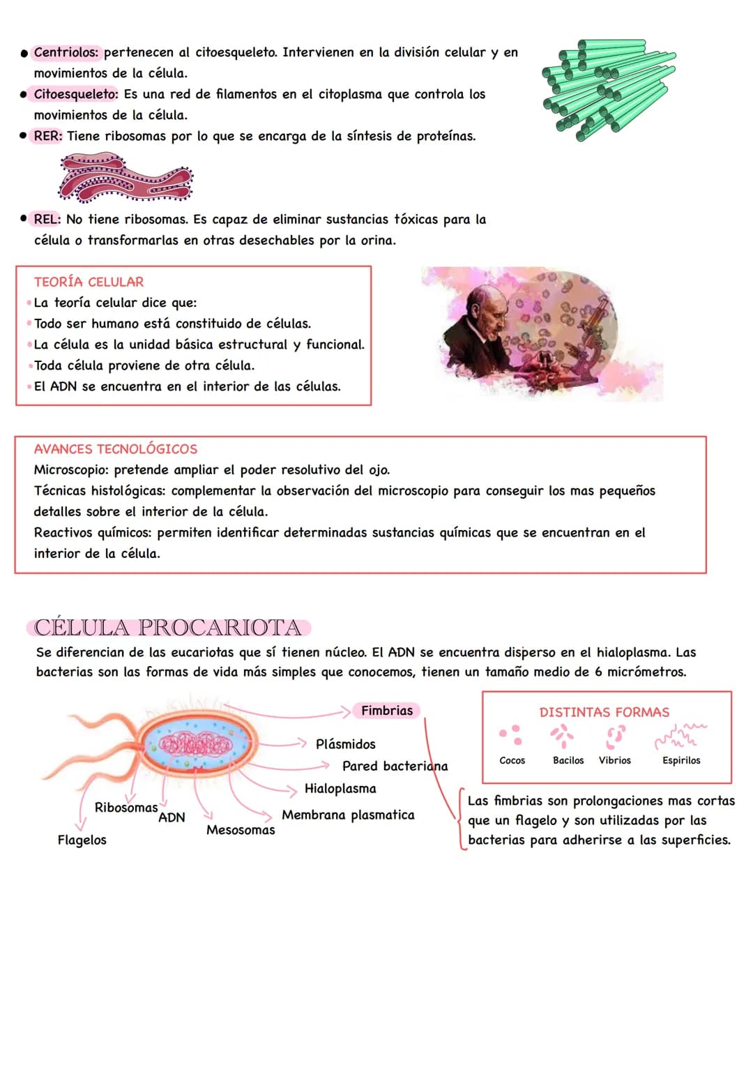 # Biología # LA CÉLULA

Una célula es la unidad básica estructural y funcional que constituye a todo ser vivo.
Las células son microscópicas