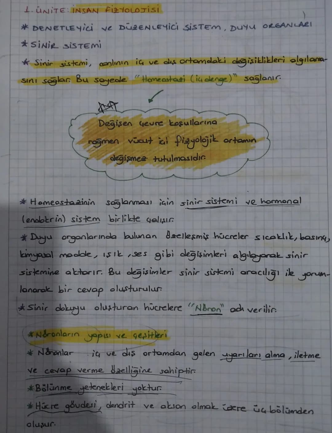 1. ÜNİTE İNSAN FİZYOLOJİsi
*DENETLEYİCİ ve DÜZENLEYİCİ SİSTEM, DUYU ORGANLARI
*SİNİR SİSTEMİ
* Sinir sistemi, canlının iç ve dış ortamdaki d