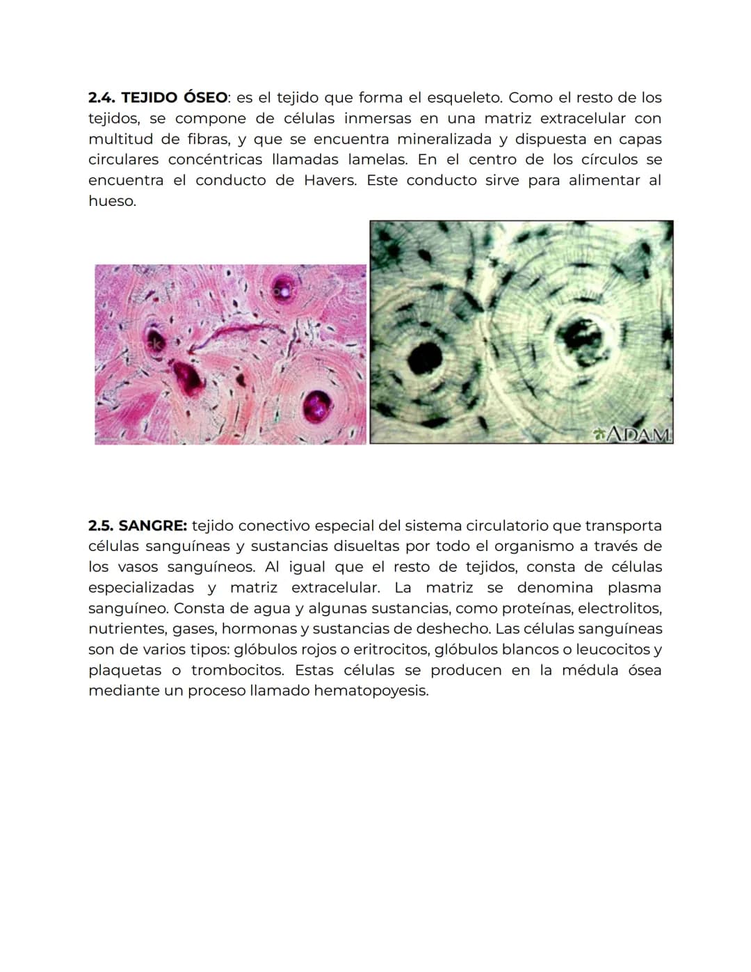 # TIPOS DE TEJIDOS

1.TEJIDO EPITELIAL: es un tejido que consta de una gran cantidad de células
que se superponen tapizando cavidades del cu
