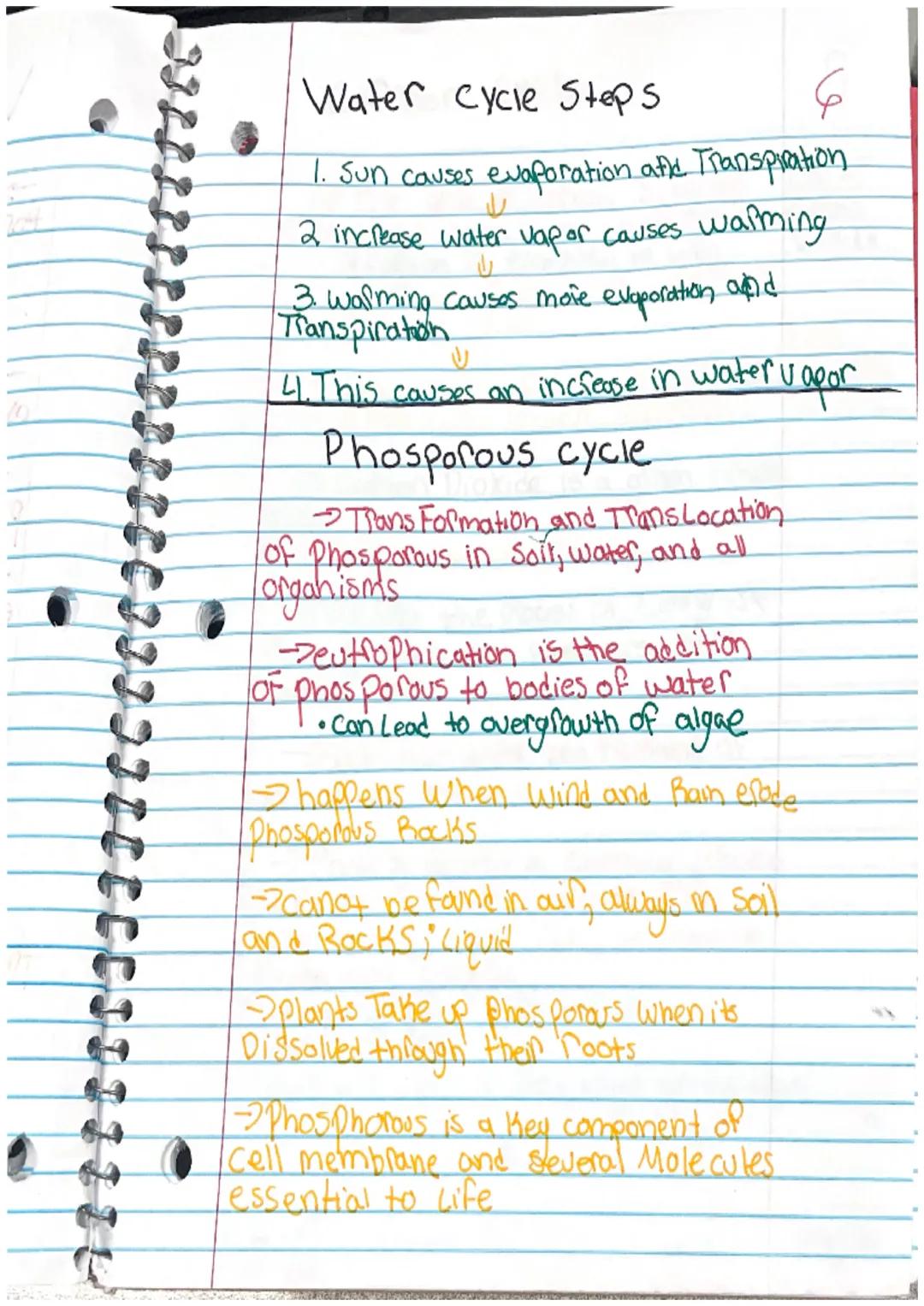 Water cycle
The process of water being cycled.
through the atmosphere
Driven by the sun
5
• Crucial to the ex istance of Life on earth.
• Wa