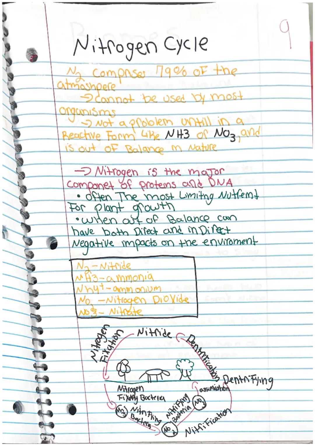 Water cycle
The process of water being cycled.
through the atmosphere
Driven by the sun
5
• Crucial to the ex istance of Life on earth.
• Wa