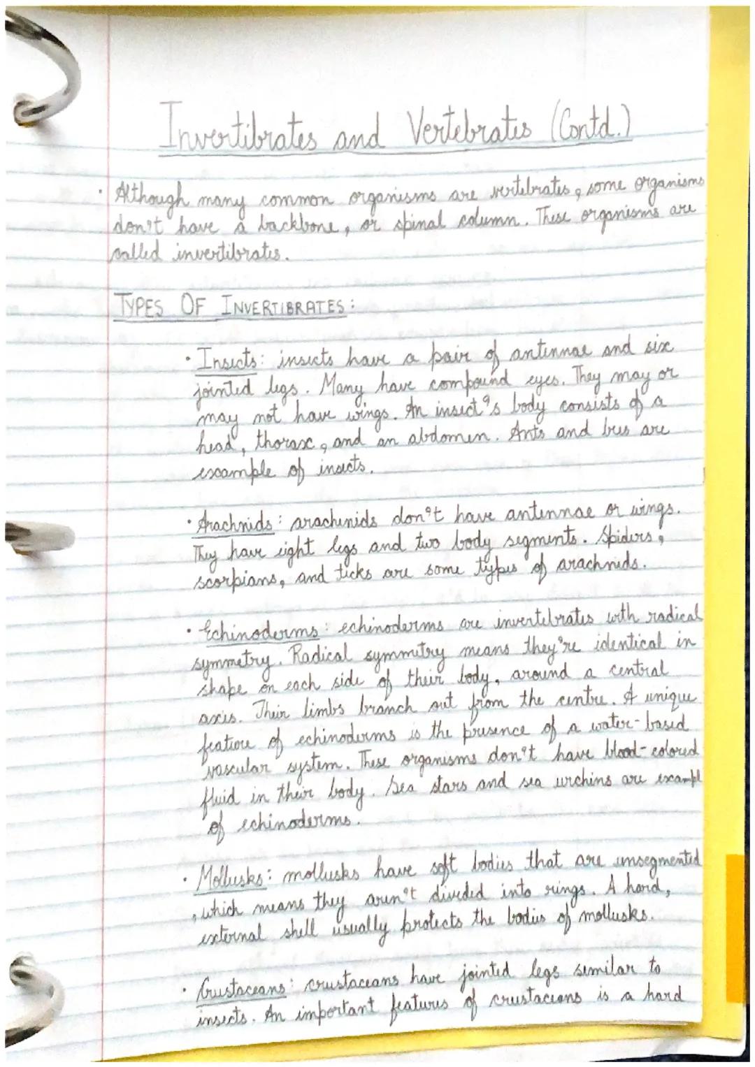 # Vertebrates and Invertibrates

- Embryology may help us determine wolutionary links. To understand
the links betwren organisms, scientists