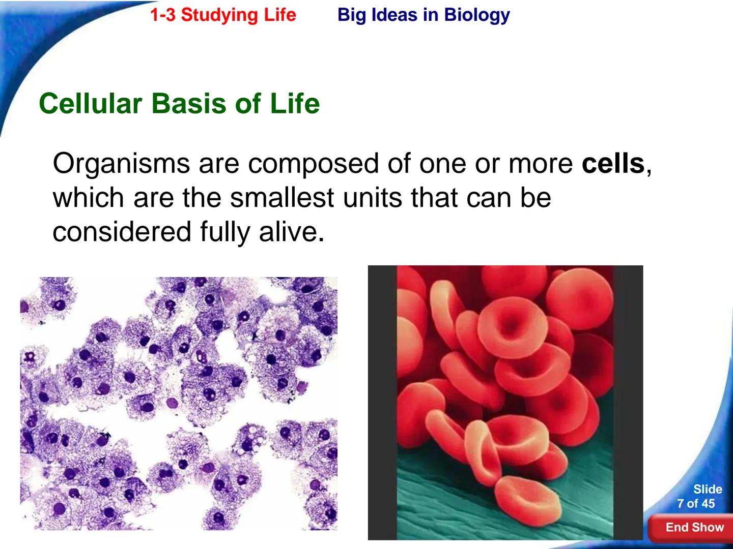 # 1-3 Studying Life

Slide
1 of 45

End Show # 1-3 Studying Life Characteristics of Living Things

What are some characteristics of living
t