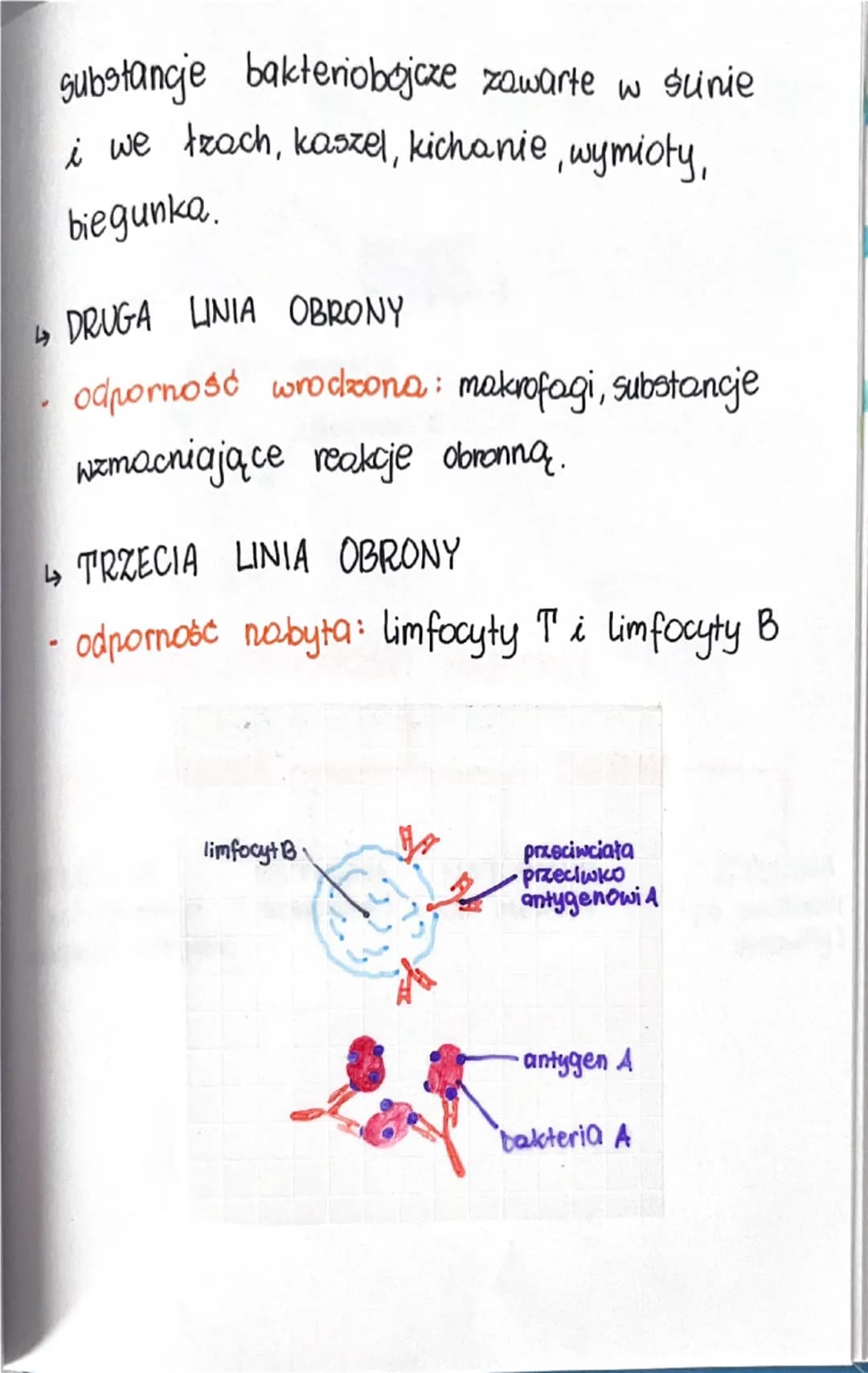 uklead

08.01.24

Selpornościowy

Budowa i funkcjonowanie układu
odpornościowego

Odporność to zdolność Organizmu do
obrony przed czynnikomi