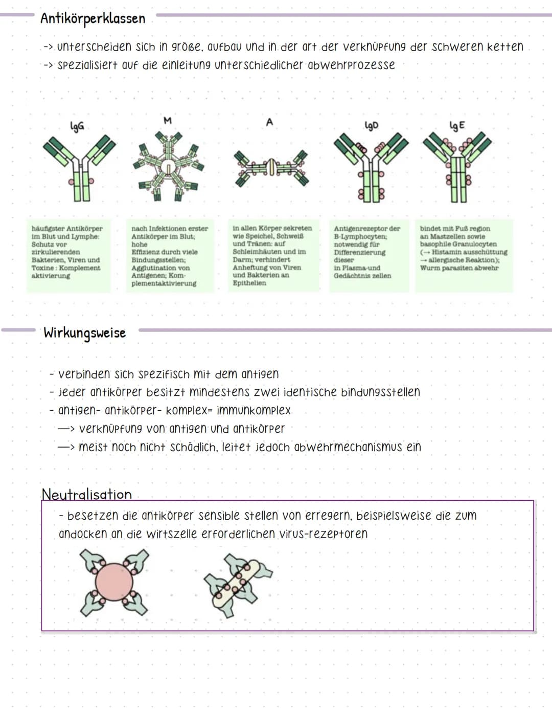 # Antikörper

-> werden von b-lymphozyten gebildet

=> werden plasmazellen gennant

-> antigene sind proteine- immunglobuline (ig)

-> es gi