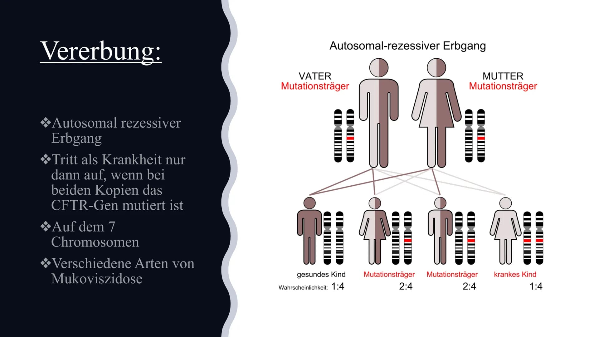 # Mukoviszidose

Von Celine und Nisa Gliederung:

◆Definition
◆Symptome
◆Ursachen
Krankheitsbild
◆Vererbung
◆Lebenserwartung/Vorkommen
◆Die 