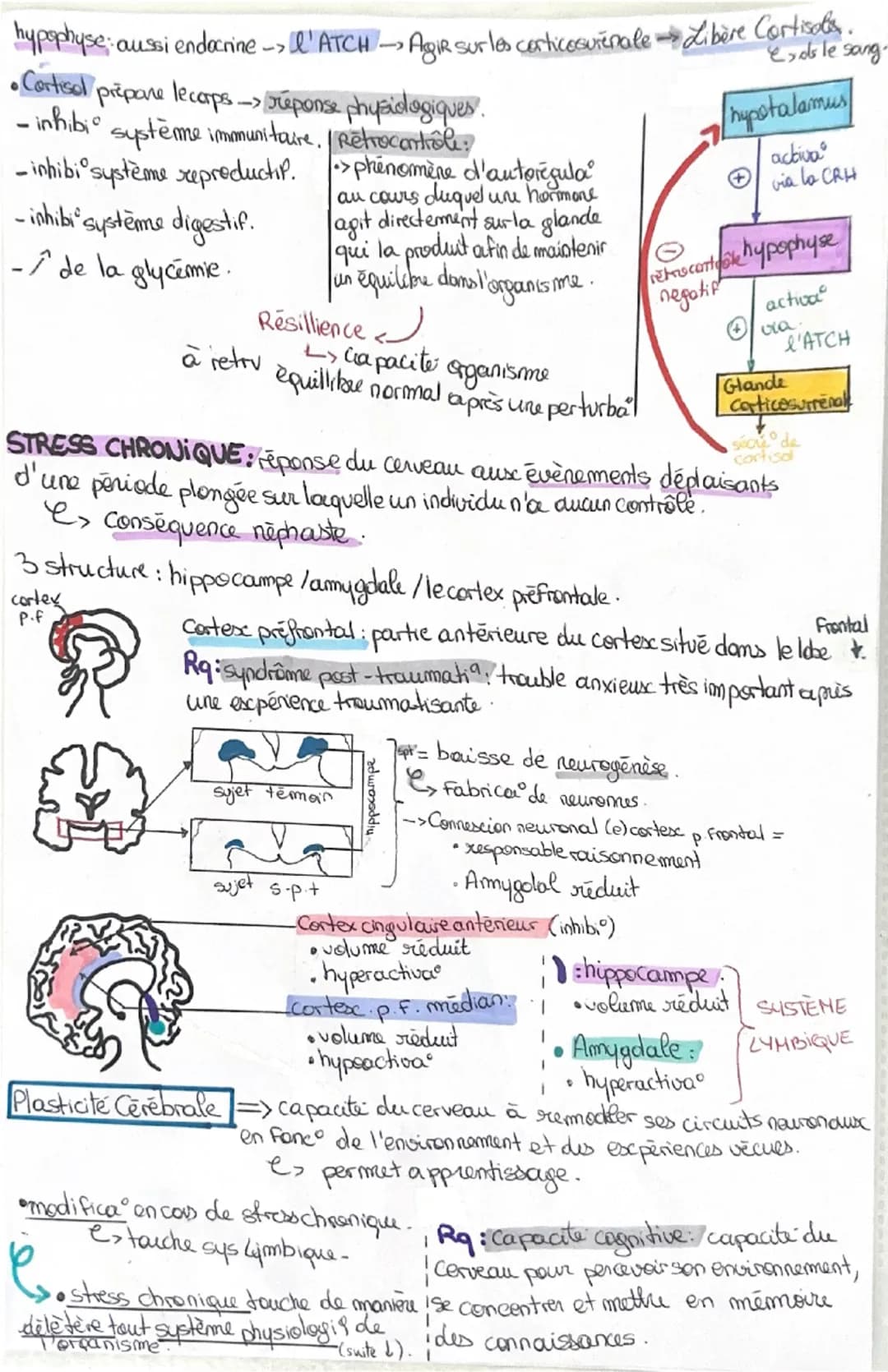 # le stress

STRESS AIGU: ensemble de réponses adaptatives, qui permettent un comportement
approprié fâce à des pressions de l' environement