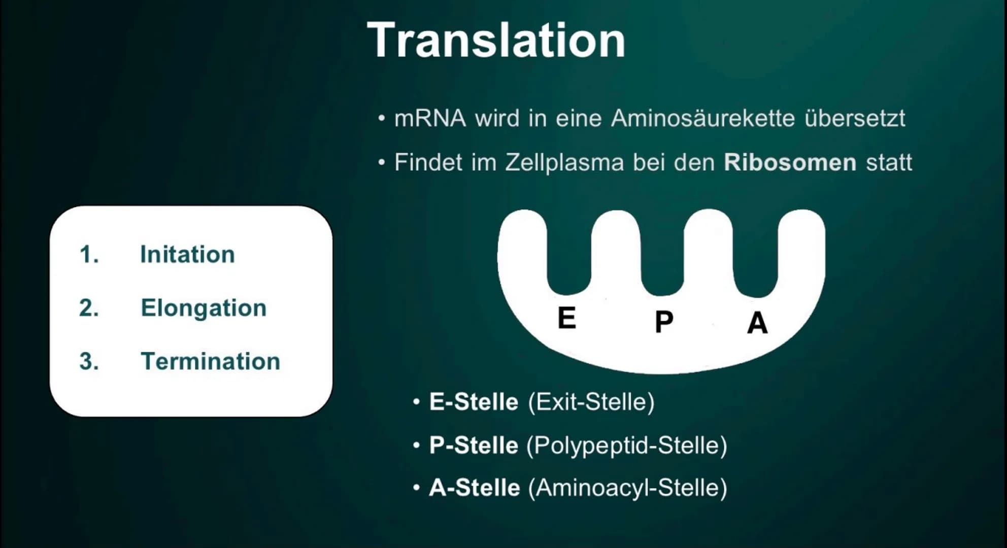 # Proteinbiosynthese

Die Geburt eines Proteins # Inhalt

• Proteinbiosnythese - Definition

• DNA

• Transkription

  - Initation

  - Elon