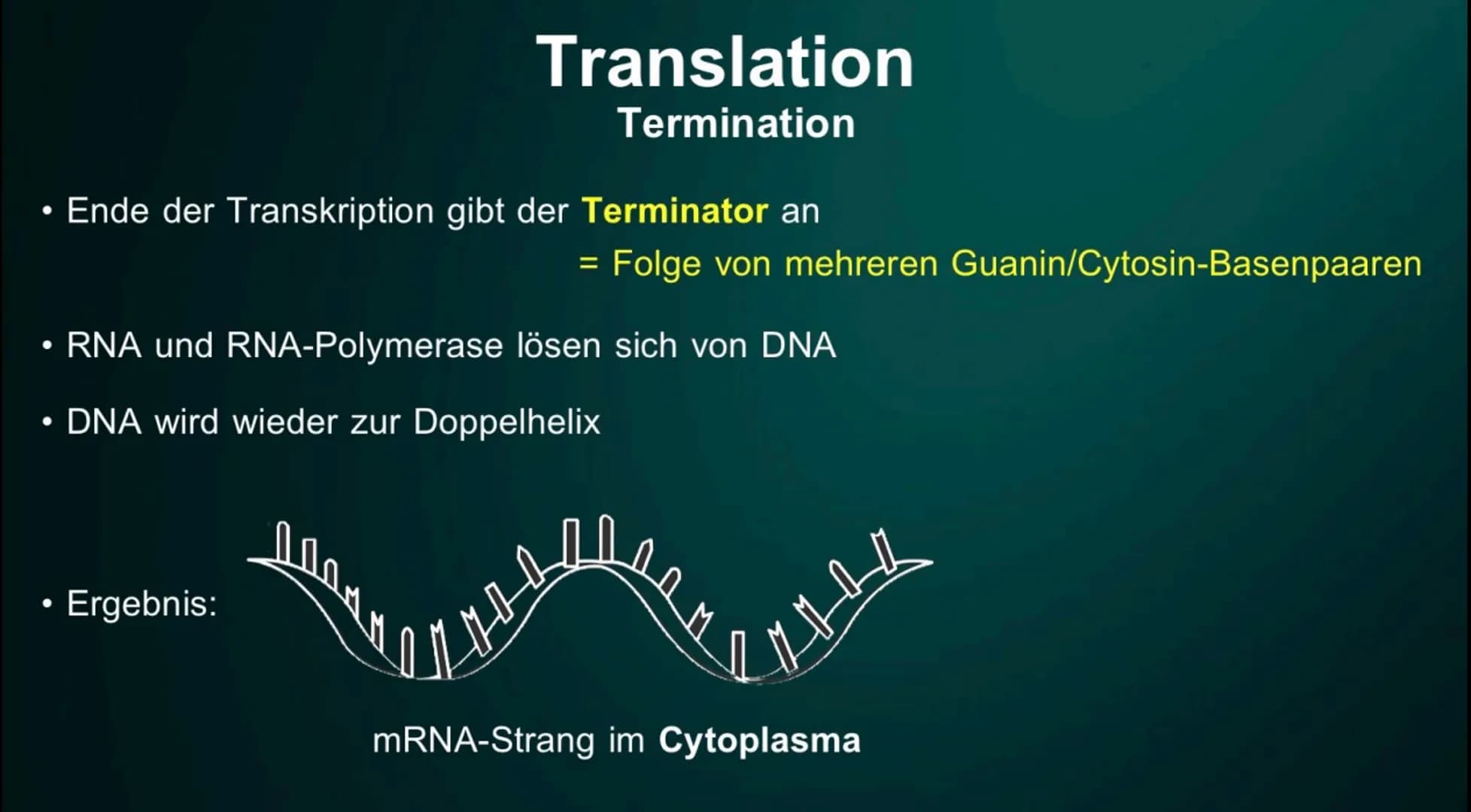 # Proteinbiosynthese

Die Geburt eines Proteins # Inhalt

• Proteinbiosnythese - Definition

• DNA

• Transkription

  - Initation

  - Elon