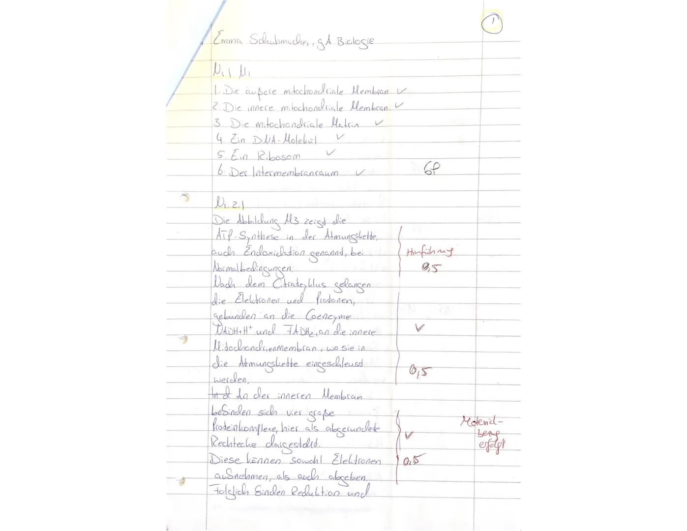 Biologieklausur Stoffwechselphysiologie
gA QP1
2stündig
03.12.21
Btm
NAME:
Emma Sclubmacher
1
Lesen Sie sich zuerst die Aufgaben in Ruhe dur