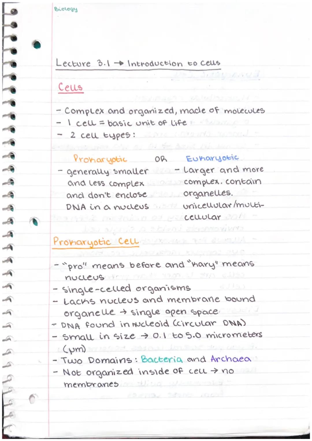 Biology

Lecture 3.1 Introduction to celus

Ceus

- Complex and organized, made of molecules
- I cell = basic unit of life
- 2 cell types:

