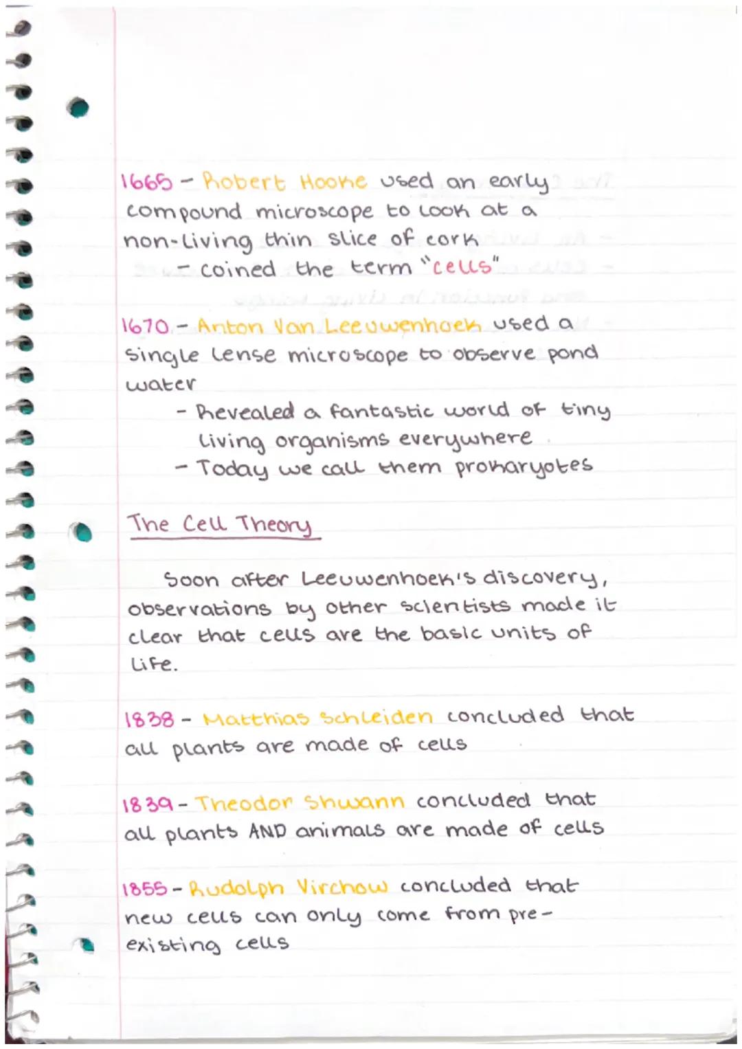 Biology

Lecture 3.1 Introduction to celus

Ceus

- Complex and organized, made of molecules
- I cell = basic unit of life
- 2 cell types:

