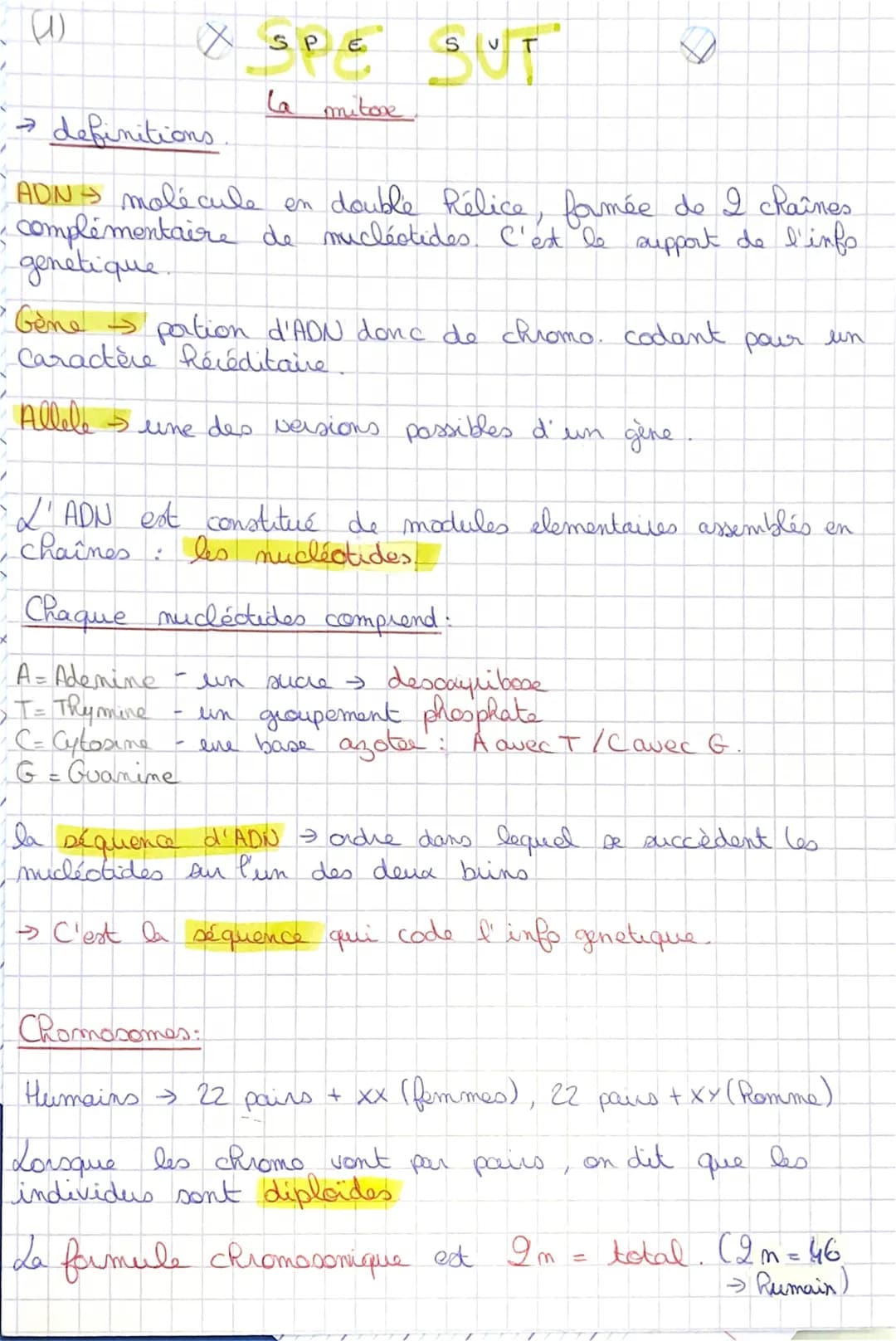 # (1)

XSPE SUT

La mitove

-> definitions.

ADN molécule en double Rélice, famée de 2 chaînes
complémentaire de mucléctides. C'est le suppo