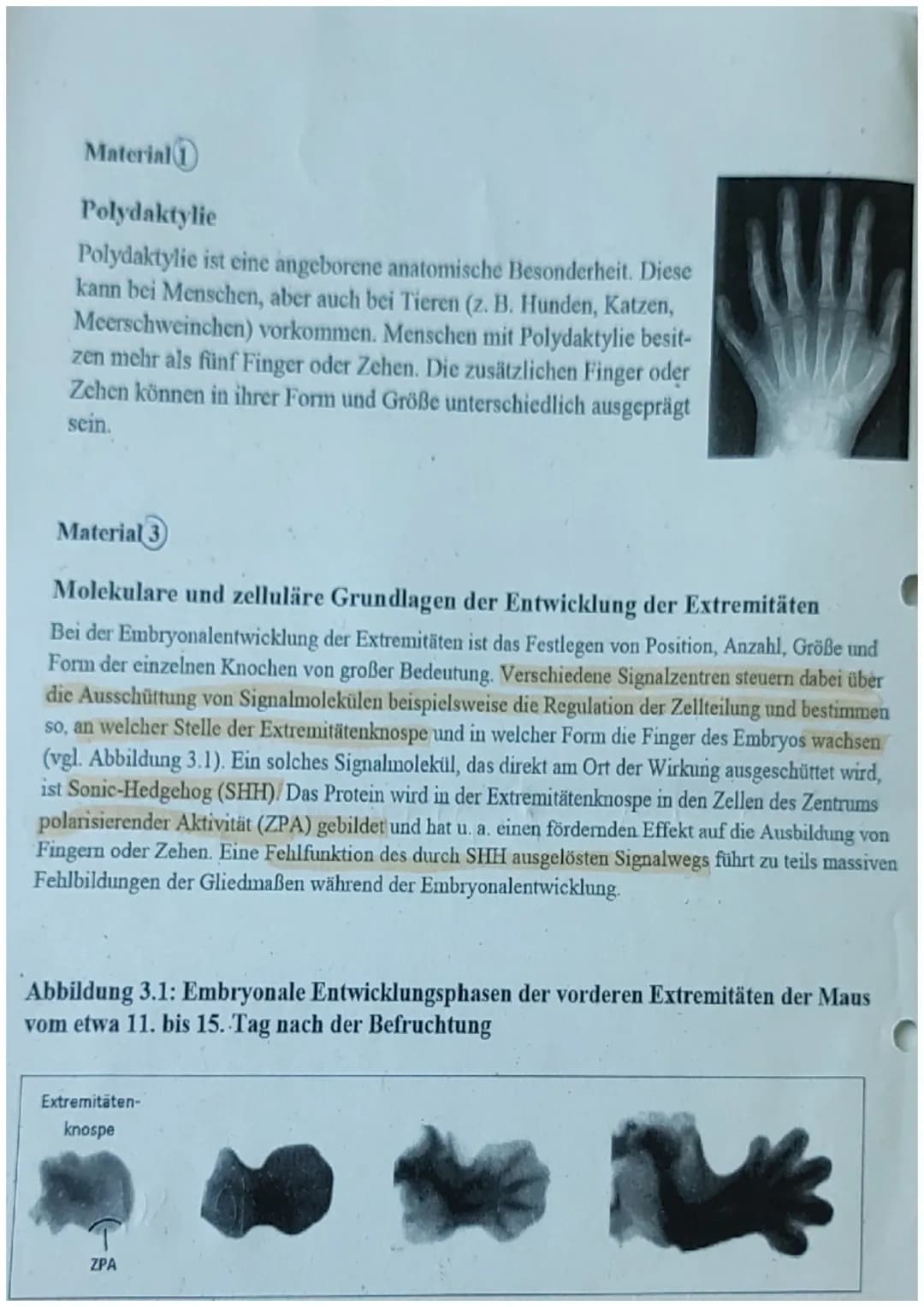 Klausur Q1 Biologie Leistungskurs Schubert
21.10.22

15 14 13 12 11 10 9 8 7 6 5 4 3 2 1 0 Ø
11131212211111118,2

Name: Michelle A. Reusing 