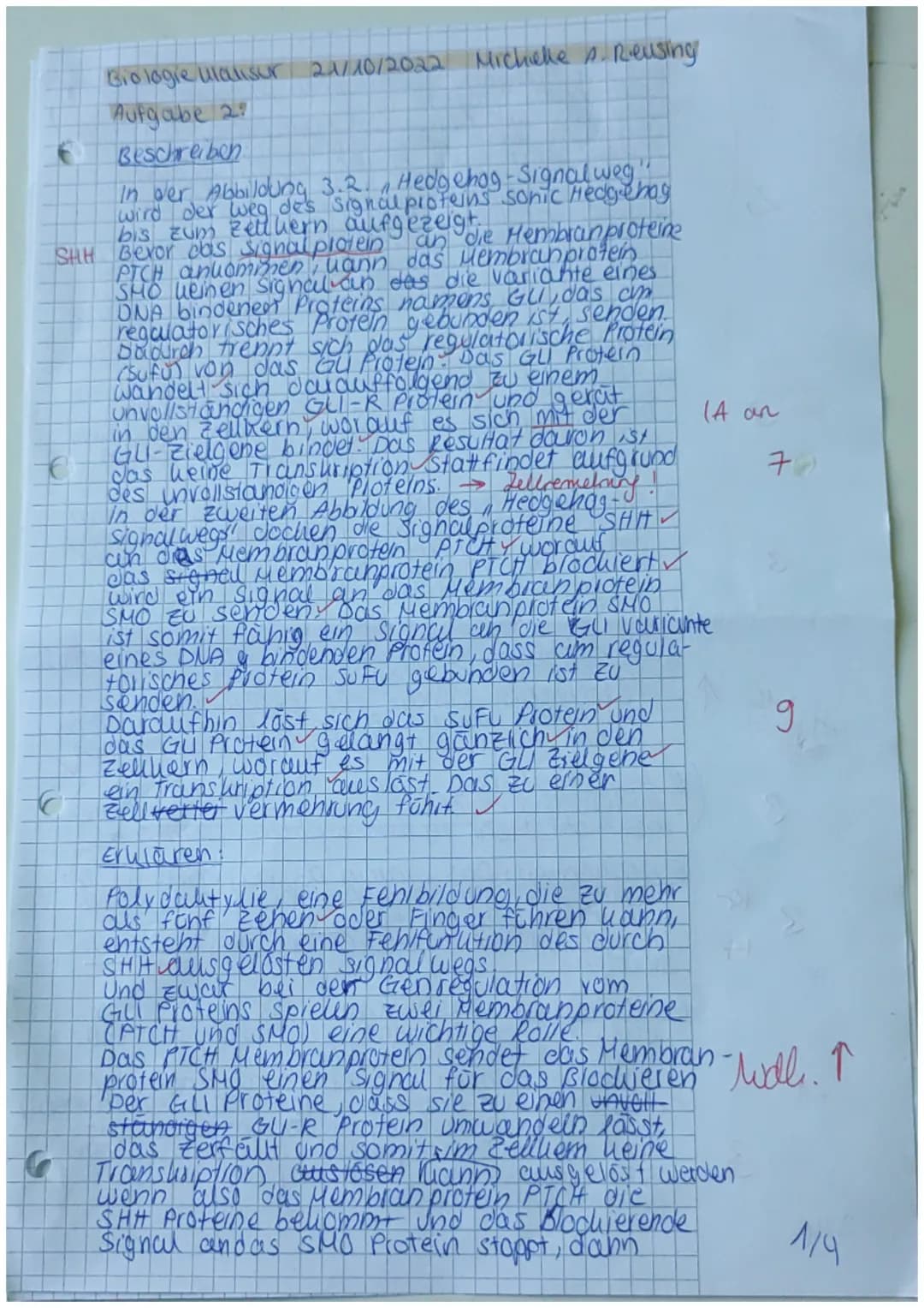 Klausur Q1 Biologie Leistungskurs Schubert
21.10.22

15 14 13 12 11 10 9 8 7 6 5 4 3 2 1 0 Ø
11131212211111118,2

Name: Michelle A. Reusing 